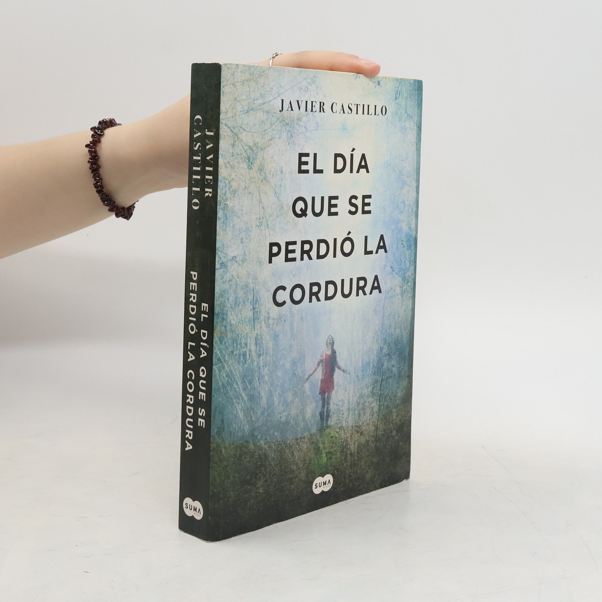 Javier Castillo El día que se perdió la cordura
