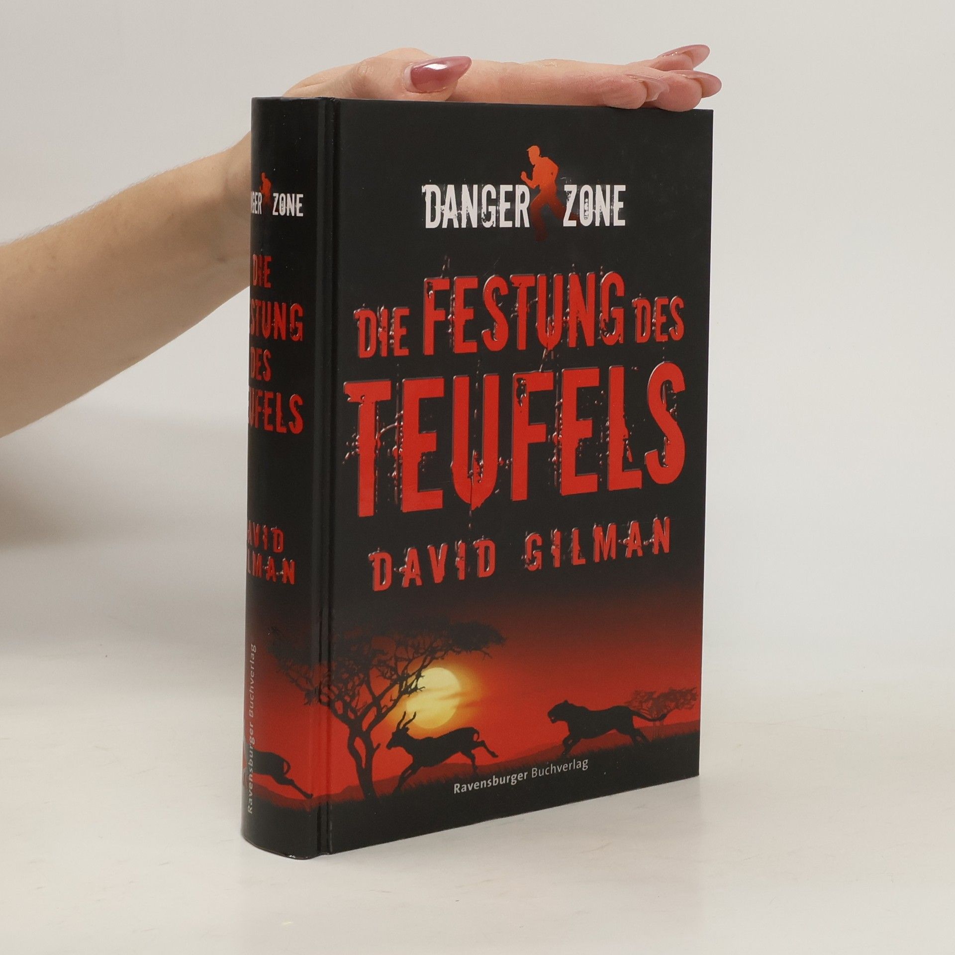 David Gilman Die Festung des Teufels