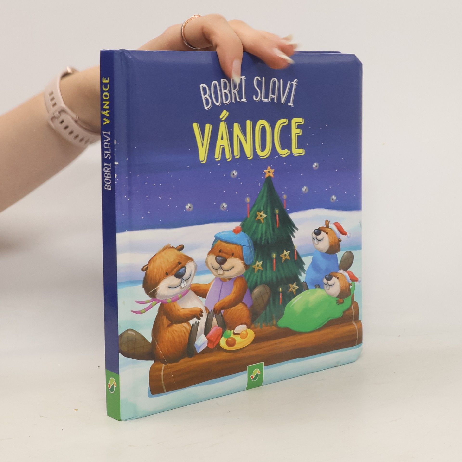 Autorenkollektiv Bobři slaví Vánoce
