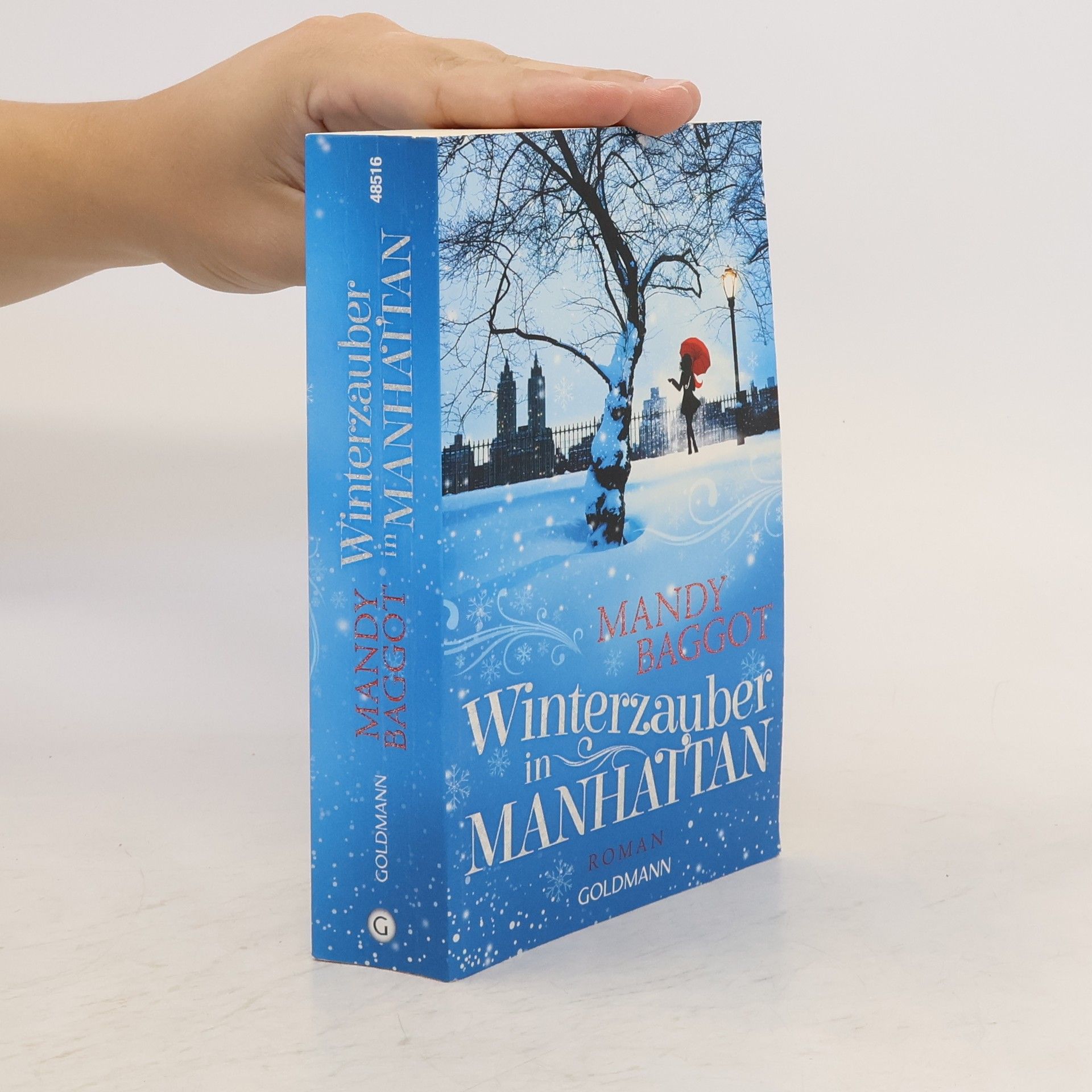 Mandy Baggot Winterzauber in Manhattan