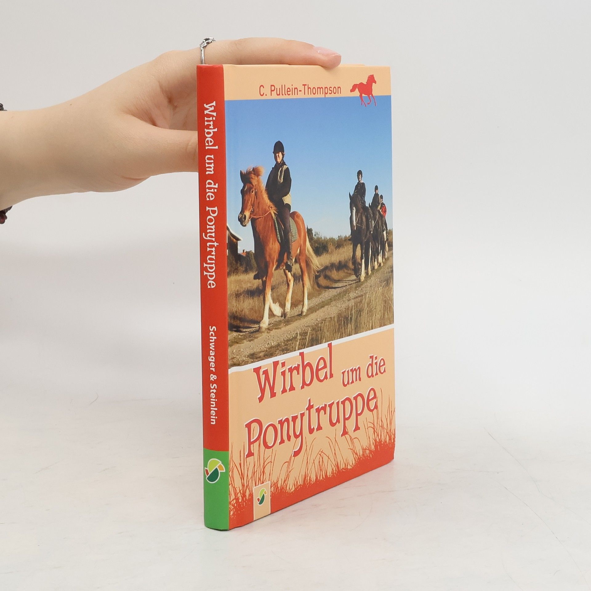 Christine Pullein-Thompson Wirbel um die Ponytruppe