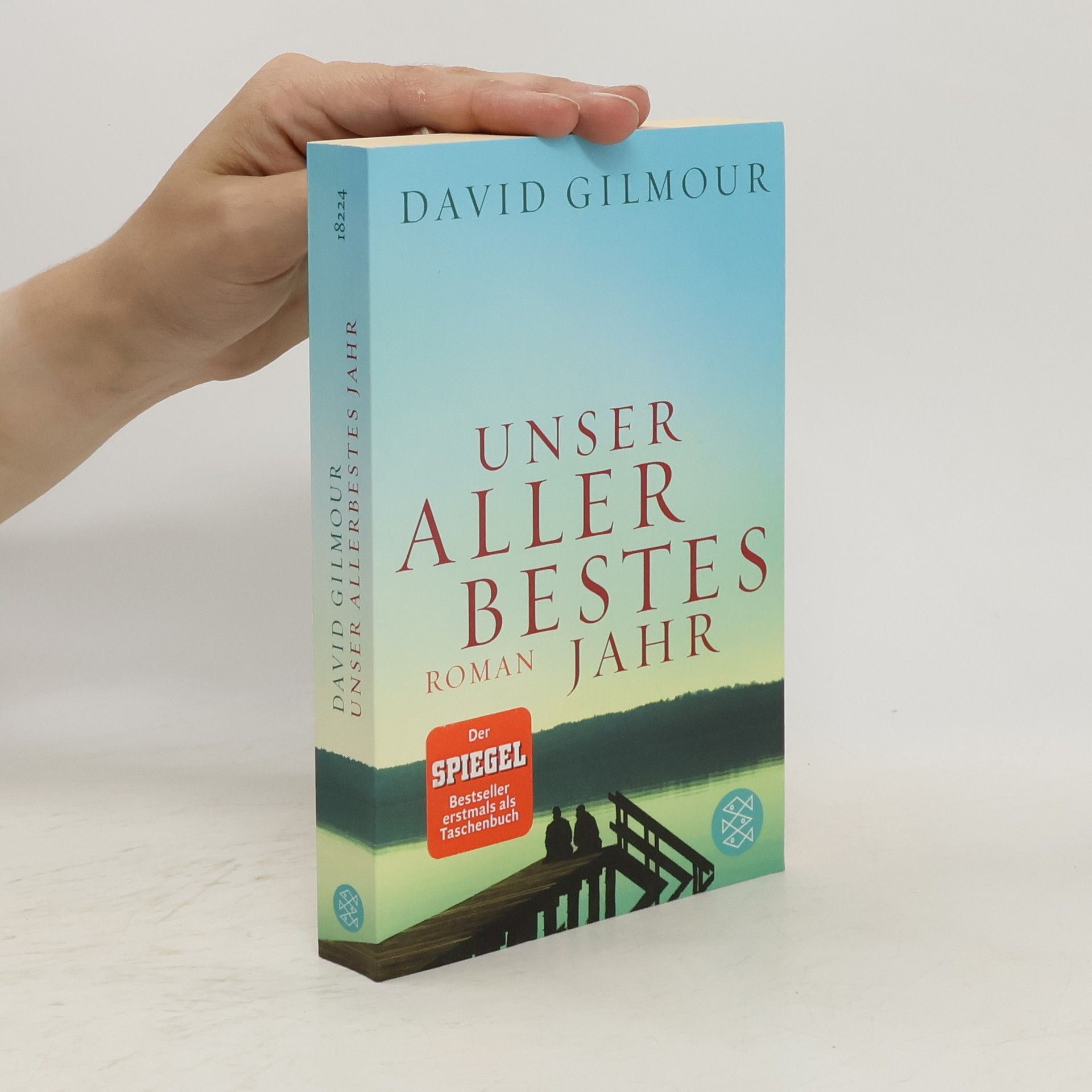 David Gilmour Unser allerbestes Jahr