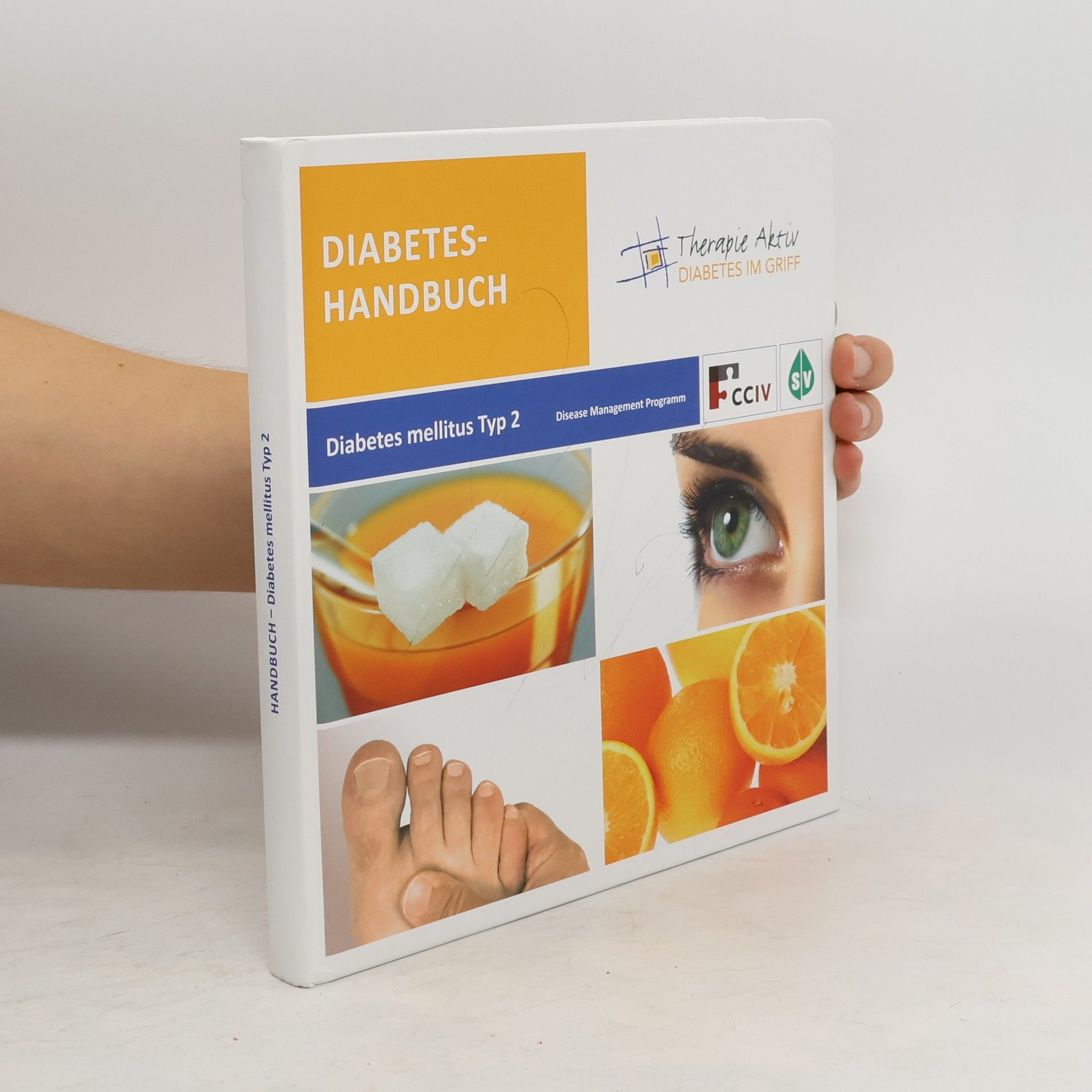 Kolektív autorov Diabetes-Handbuch. Diabetes Mellitus Typ 2