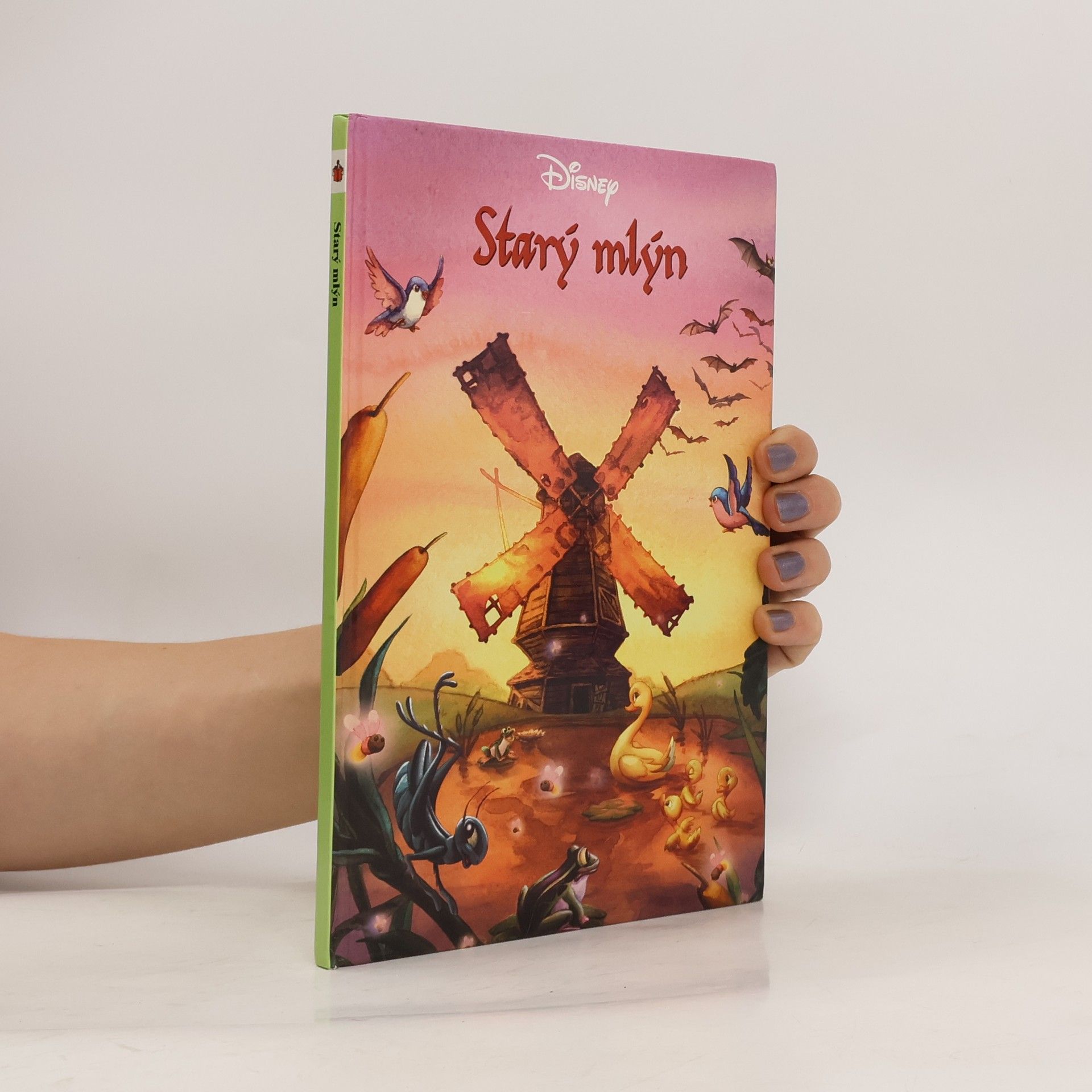 Collectif d'auteurs Starý mlýn