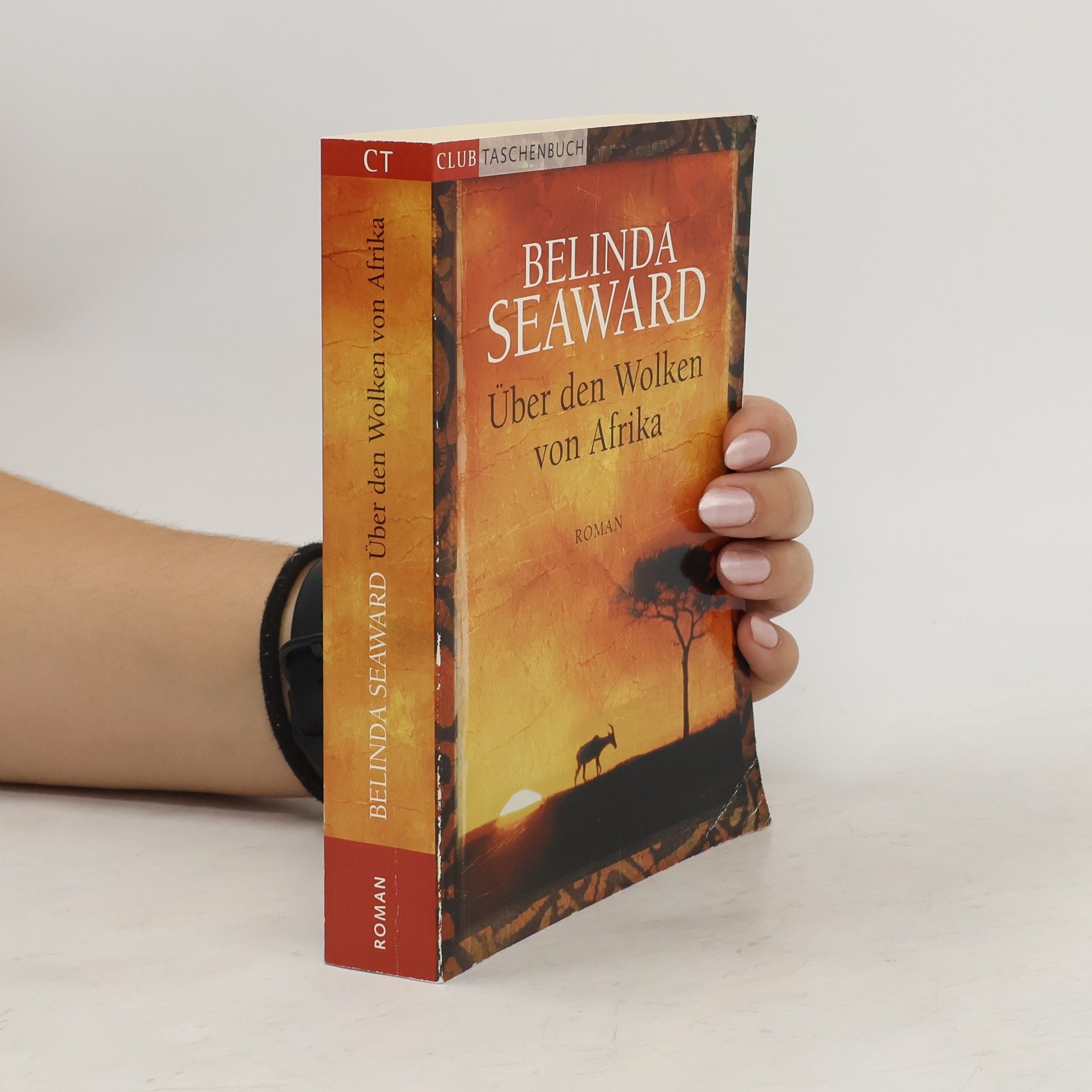 Belinda Seaward Über den Wolken von Afrika