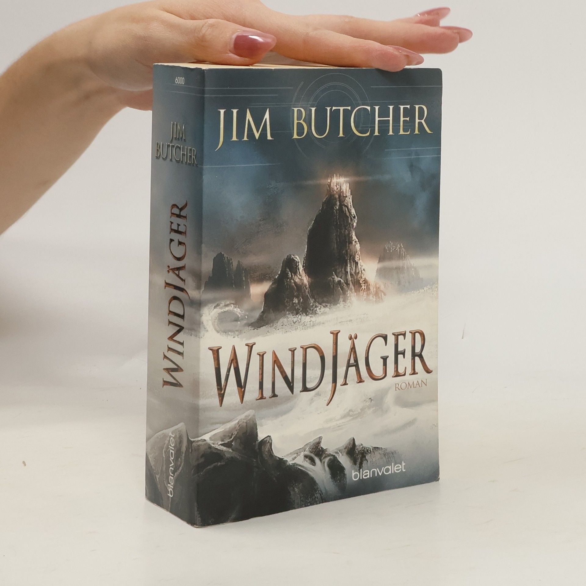Jim Butcher Windjäger