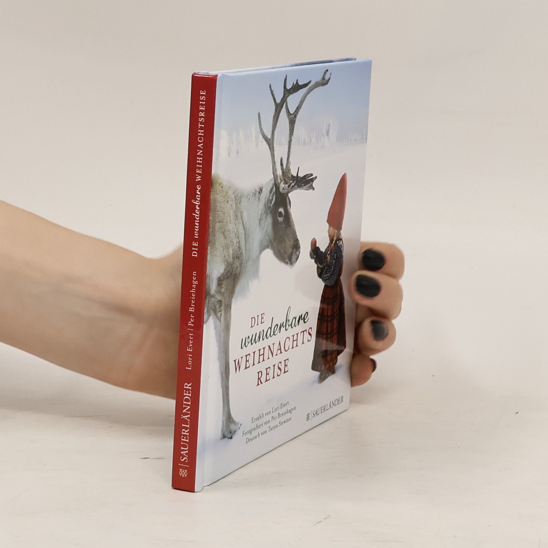 Lori Evert Die wunderbare Weihnachtsreise