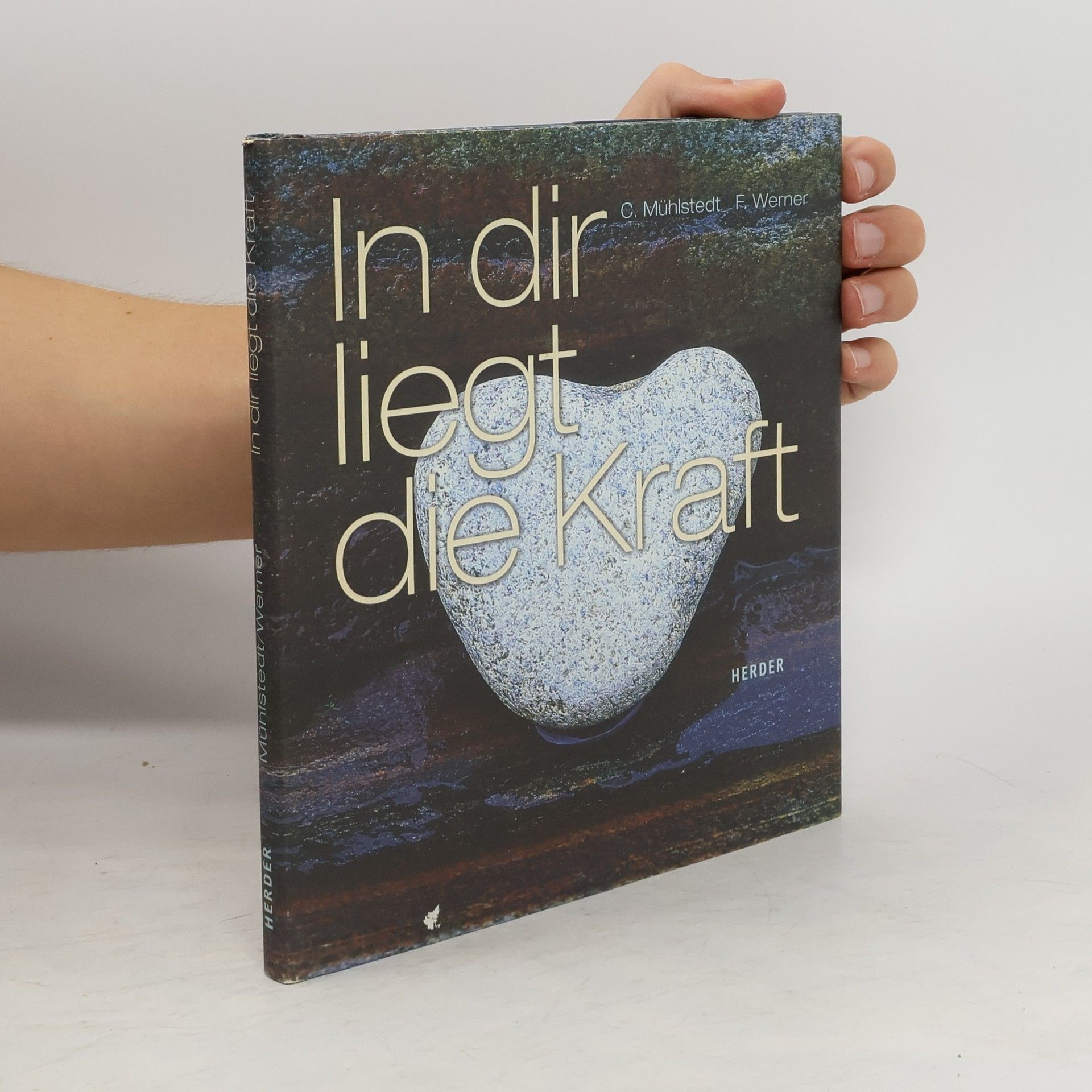 Corinna Mühlstedt In dir liegt die Kraft