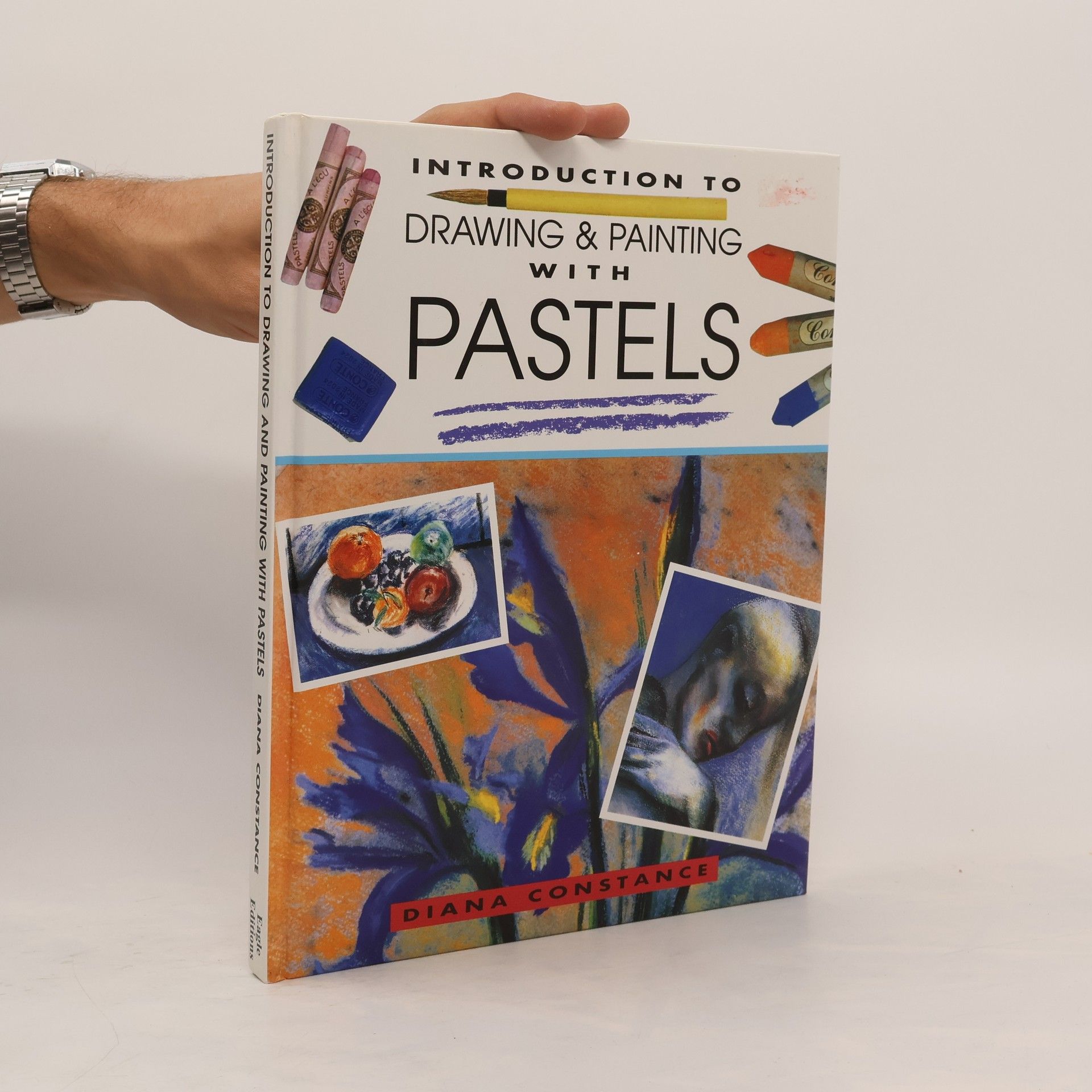 Diana Constance Drawing and Painting With Pastels