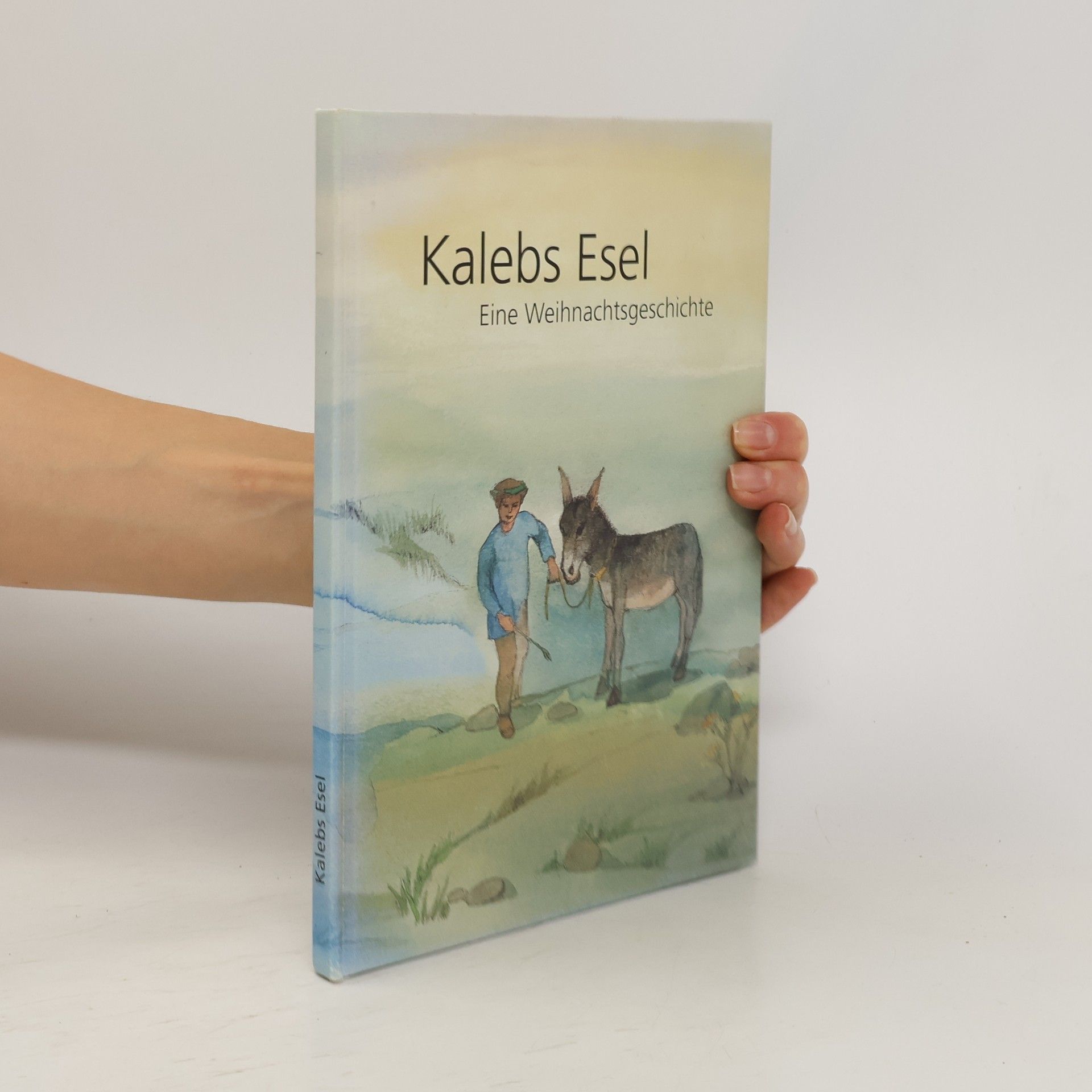 Max Bolliger Kalebs Esel