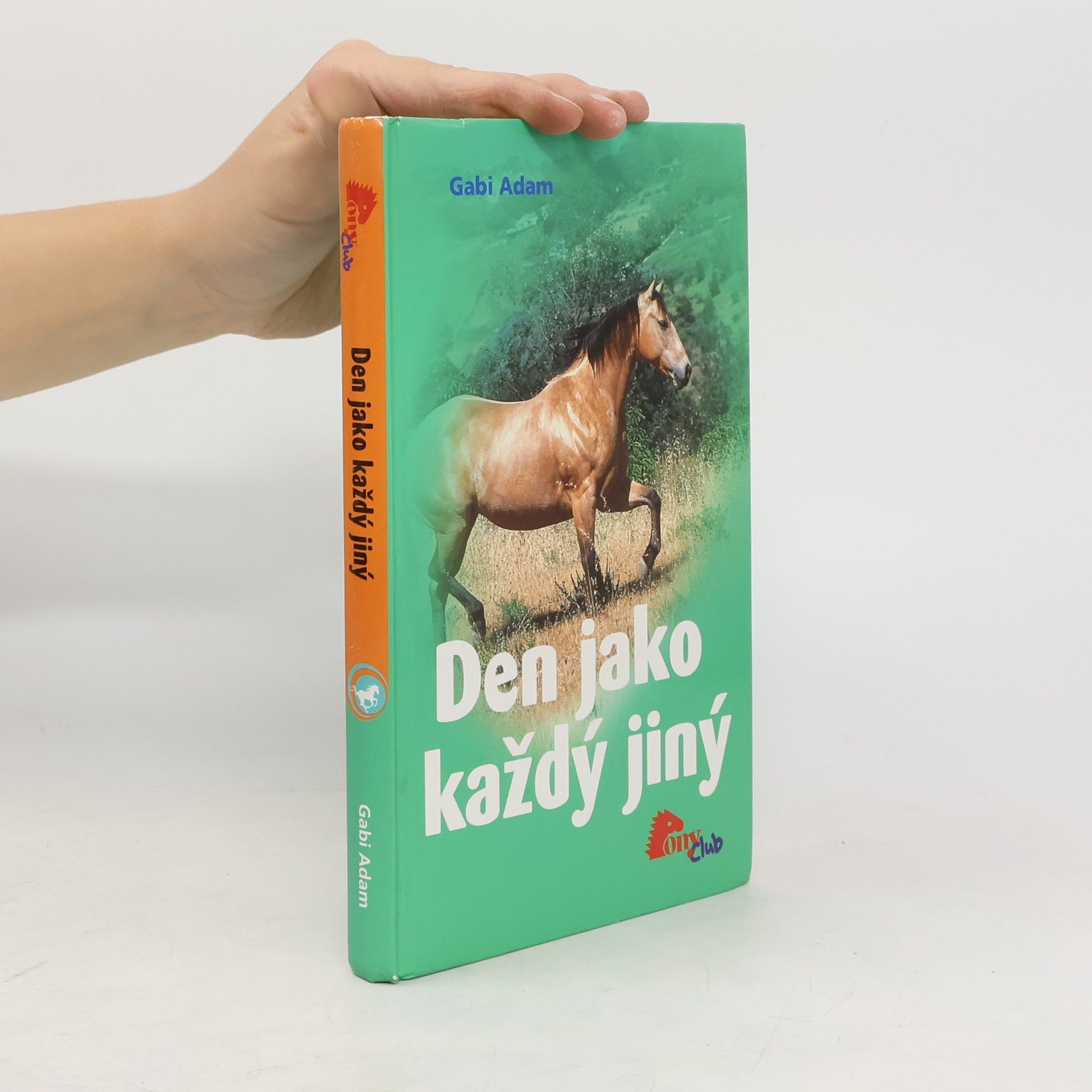 Gabi Adam Den jako každý jiný