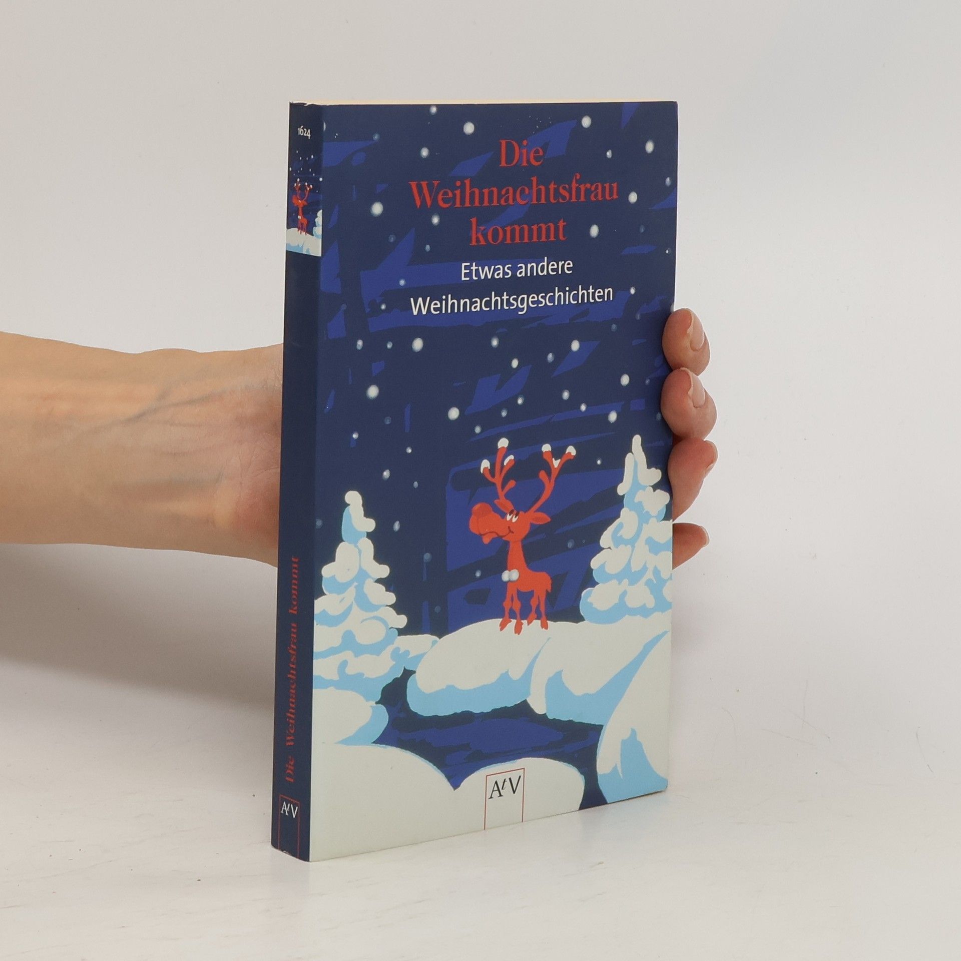 Michaela Rohn Die Weihnachtsfrau kommt