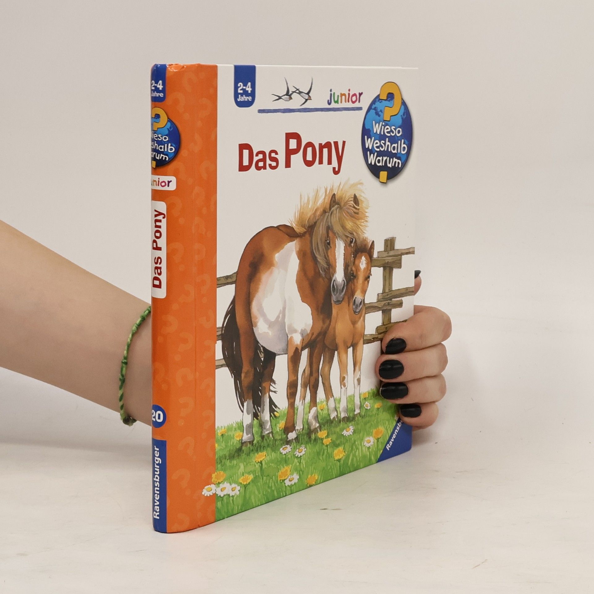 Thea Roß Das Pony