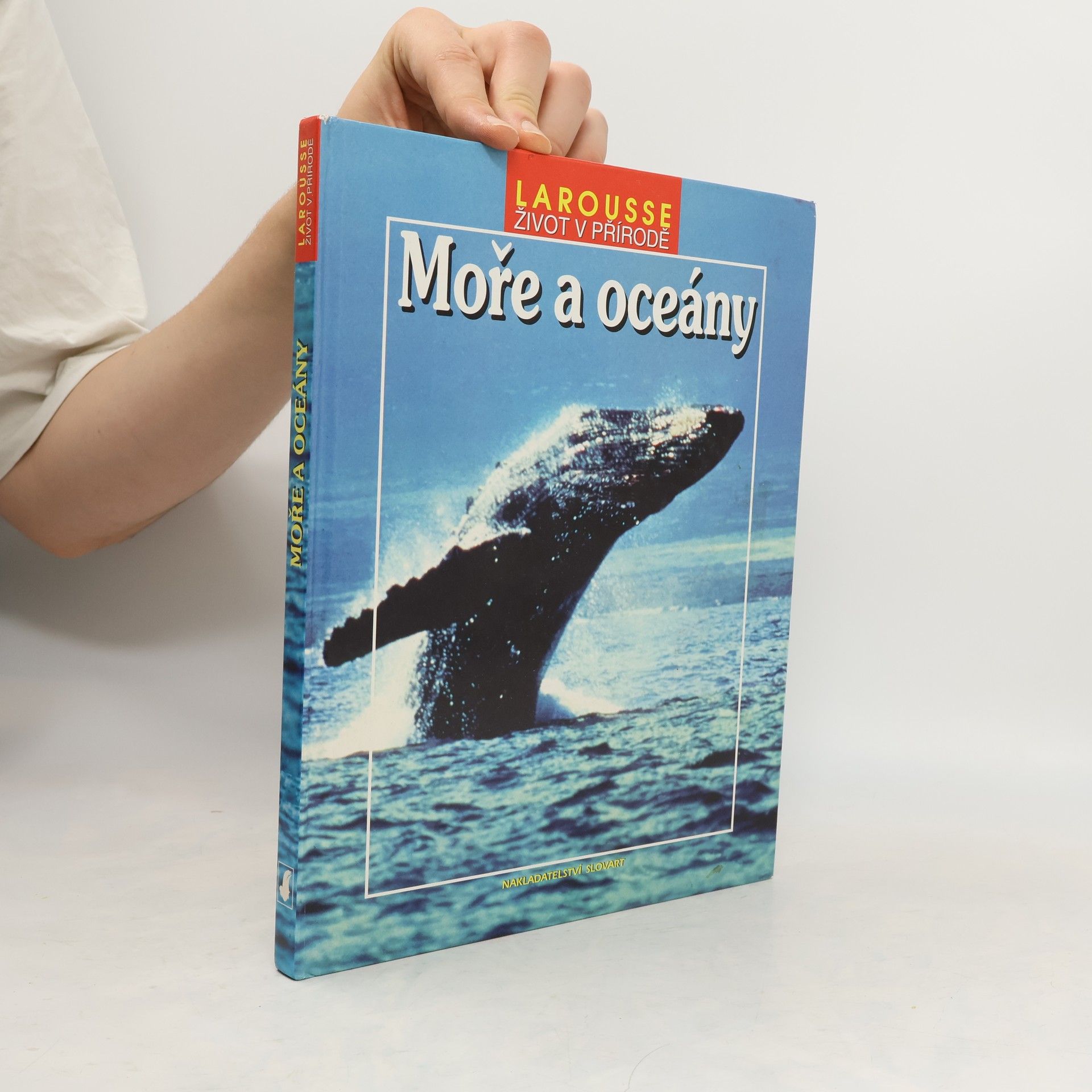 Vladimír Čadský Moře a oceány