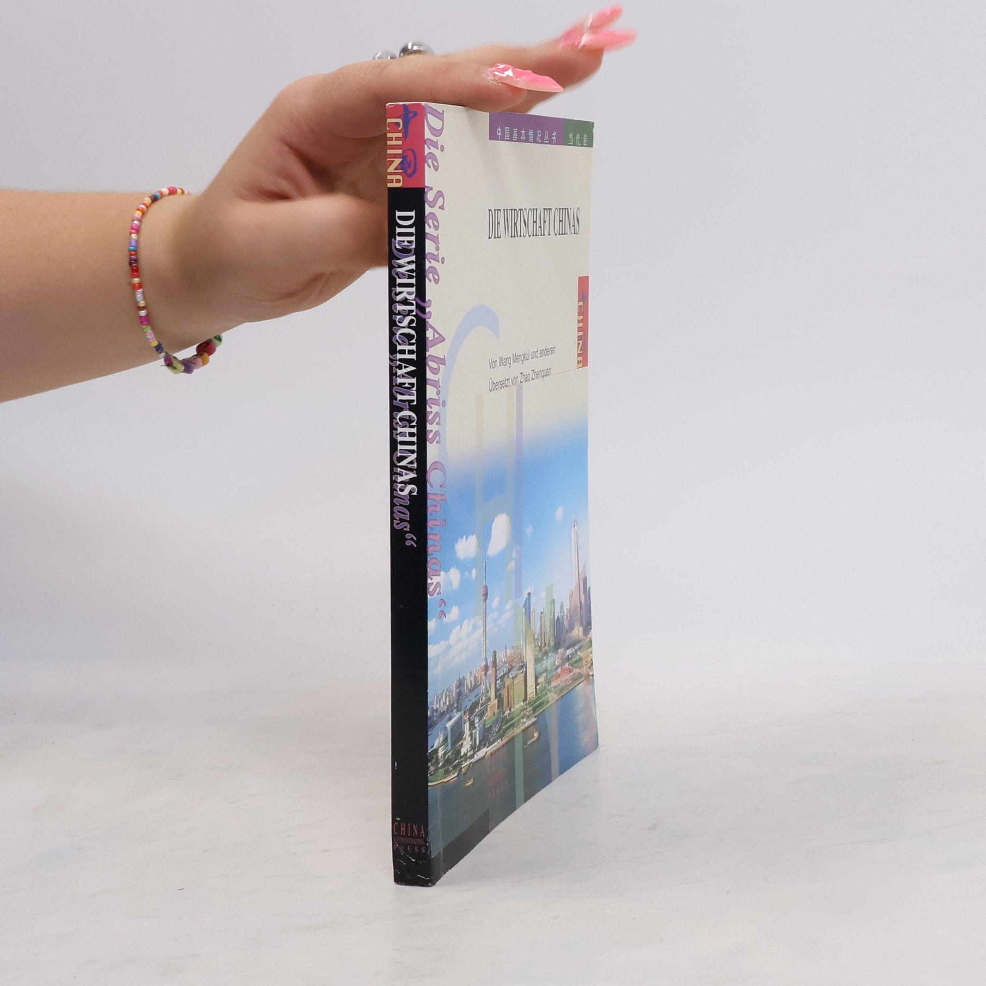 Mengkui Wang Die Wirtschaft Chinas