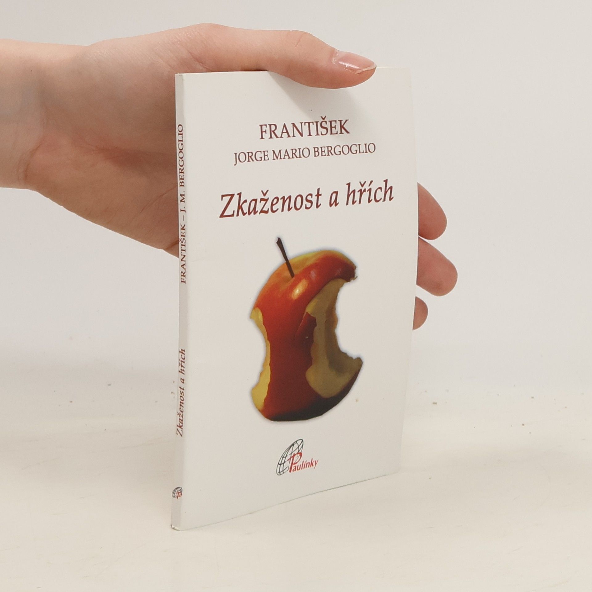 Pápež František Zkaženost a hřích