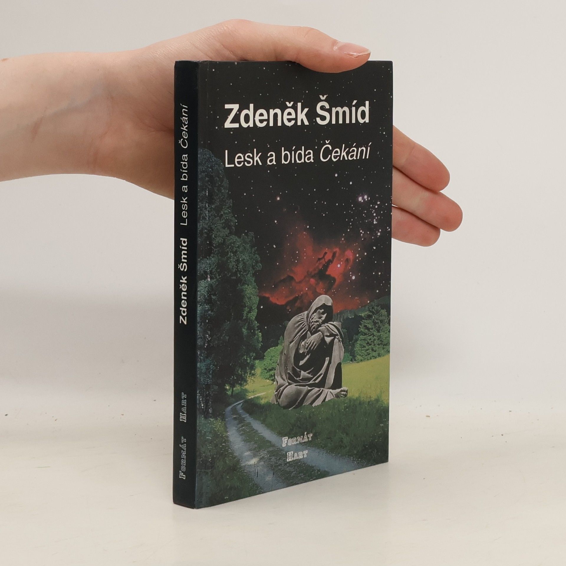 Zdeněk Šmíd Lesk a bída Čekání