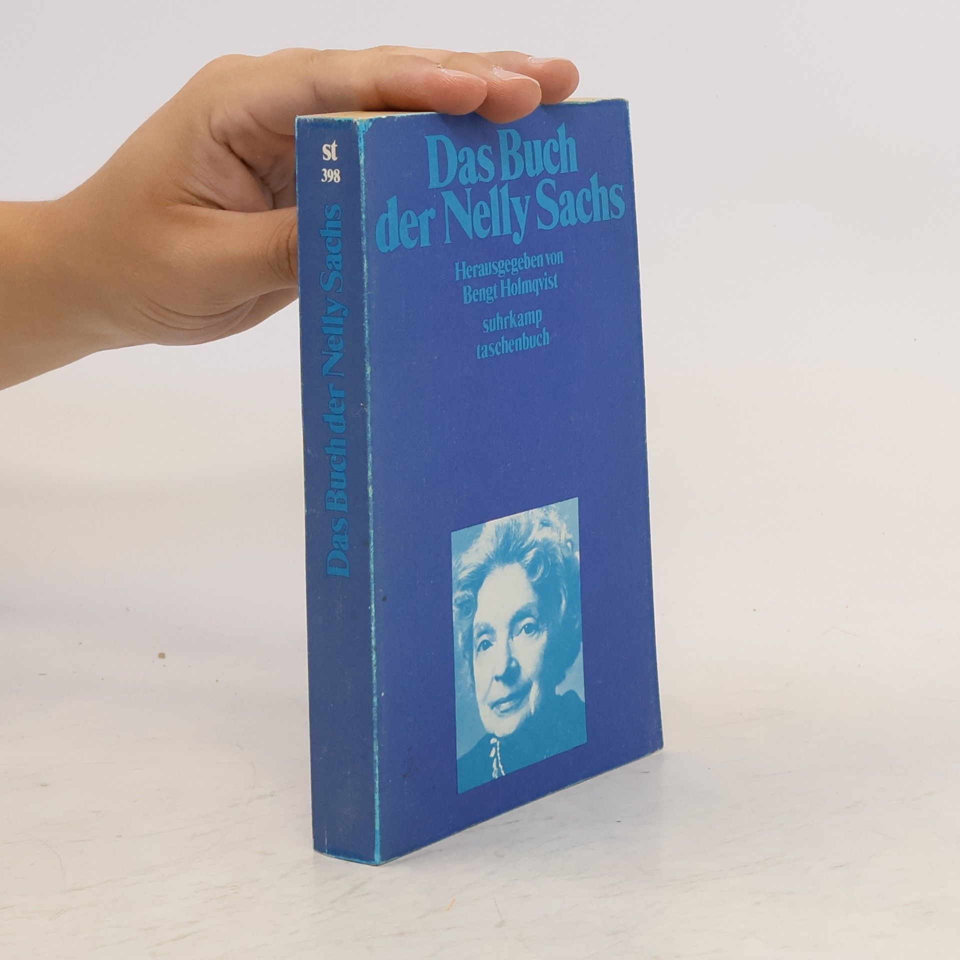 Bengt Holmqvist Das Buch der Nelly Sachs