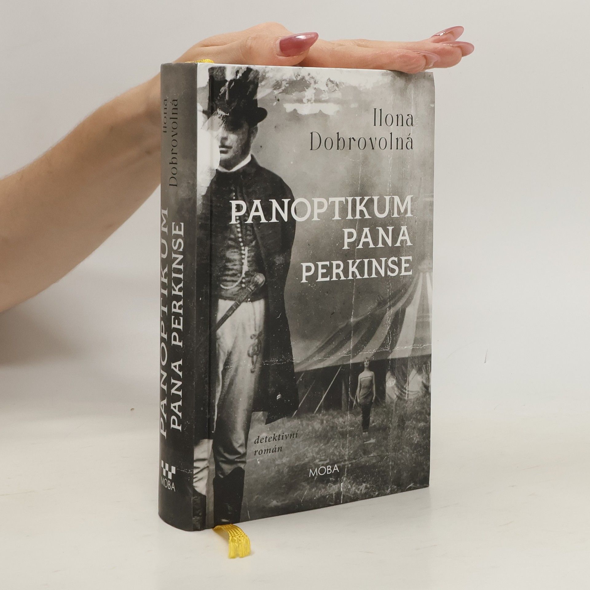 Ilona Dobrovolná Panoptikum pana Perkinse