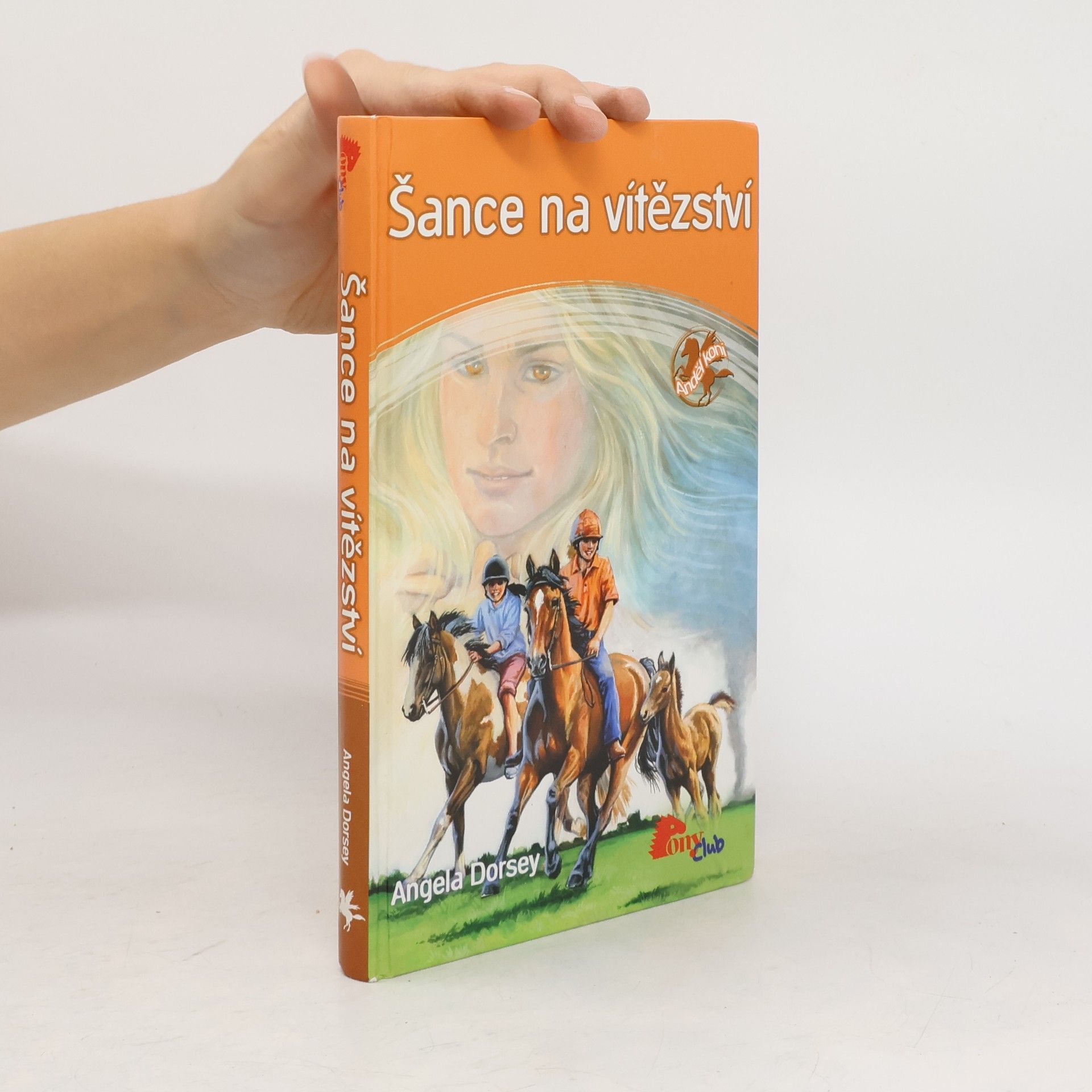 Angela Dorsey Šance na vítězství