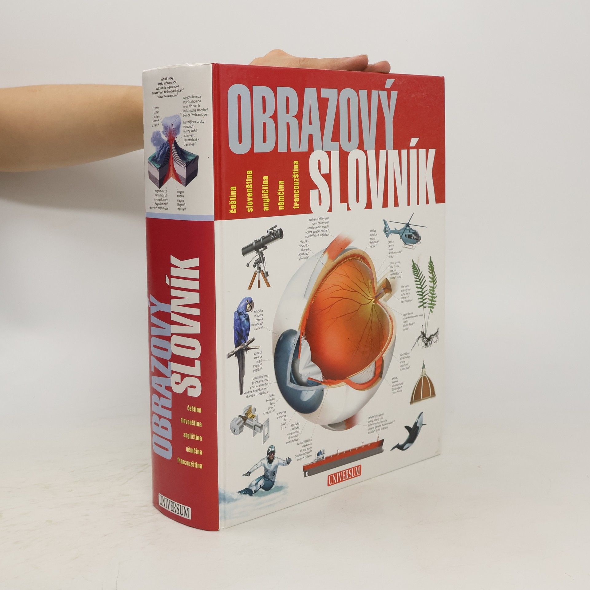 Ariane Archambault Obrazový slovník