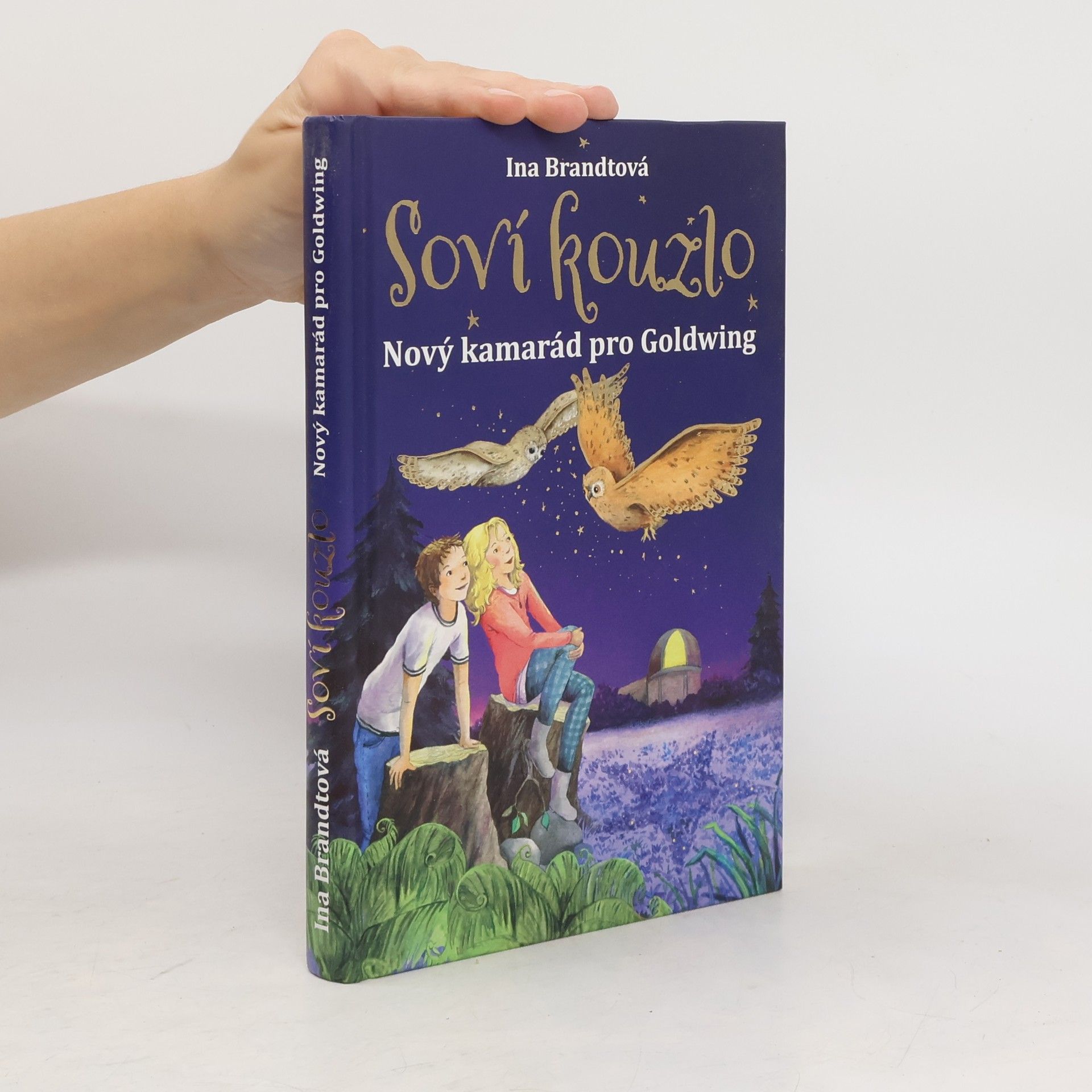 Ina Brandt Soví kouzlo. Nový kamarád pro Goldwing