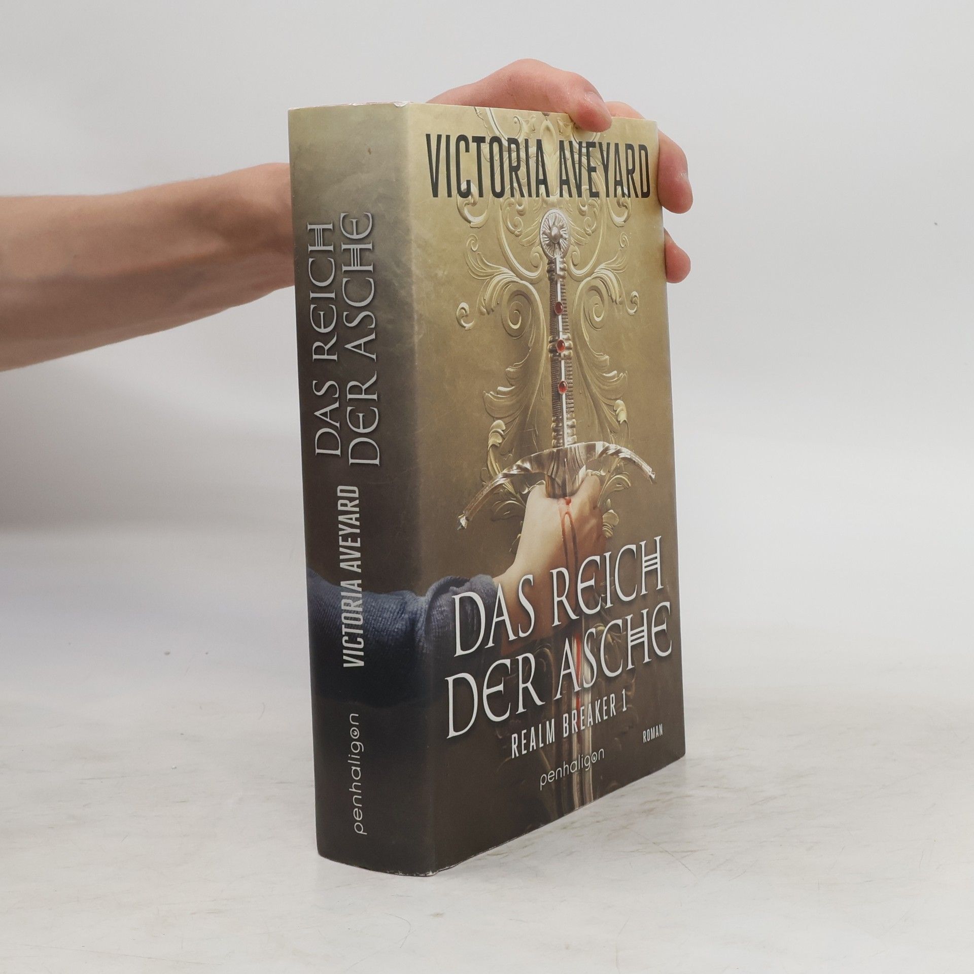 Victoria Aveyard Das Reich der Asche - Realm Breaker 1