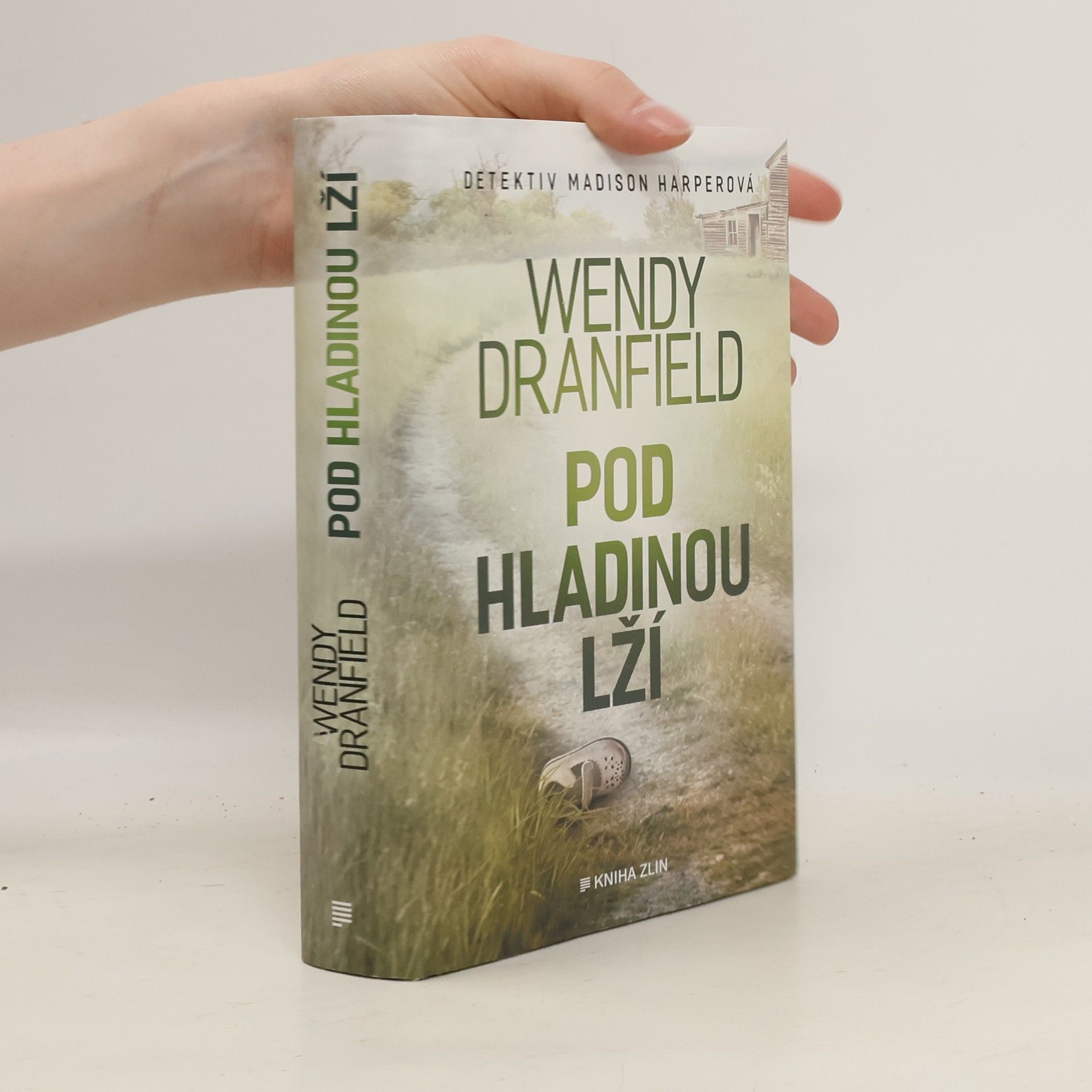 Wendy Dranfield Pod hladinou lží