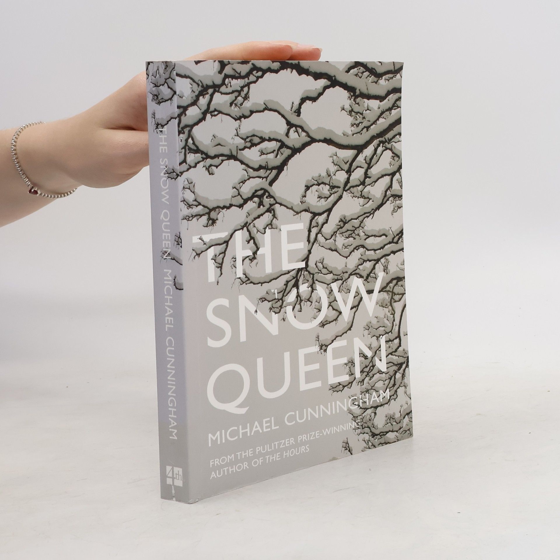 Michael Cunningham The Snow Queen