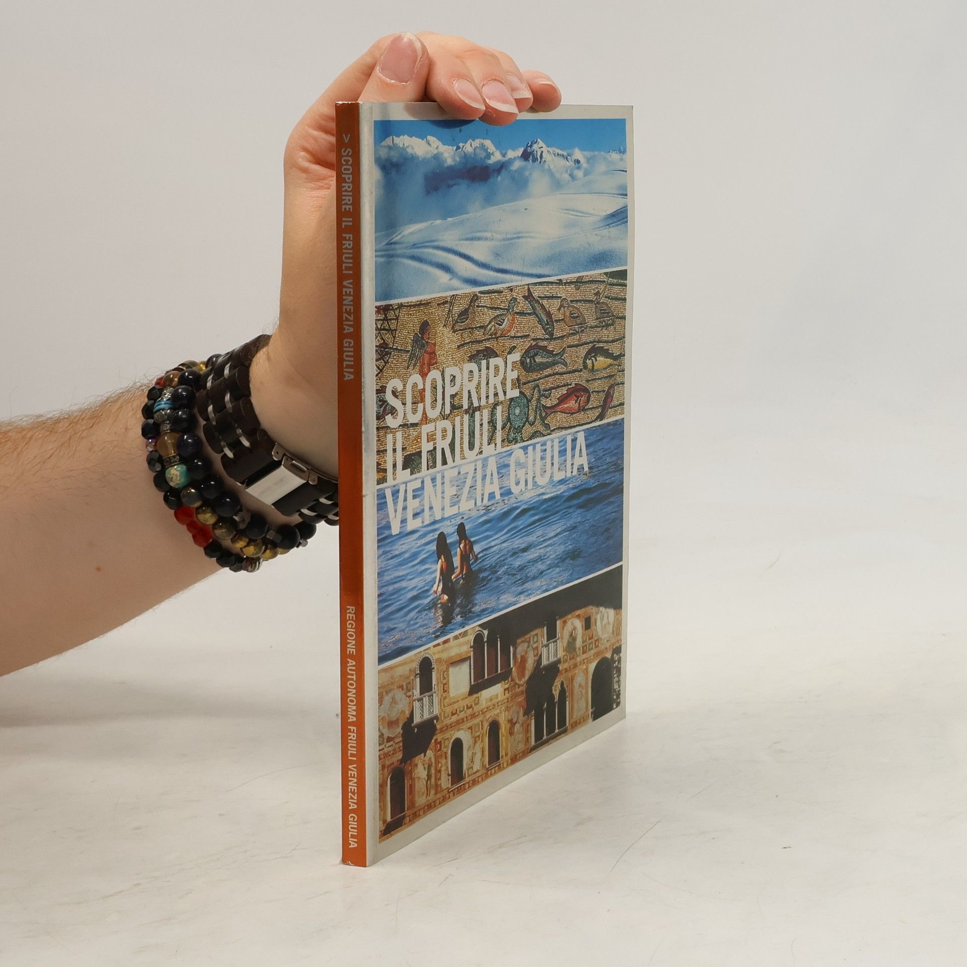 AA.VV. Scoprire il Friuli Venezia Giulia