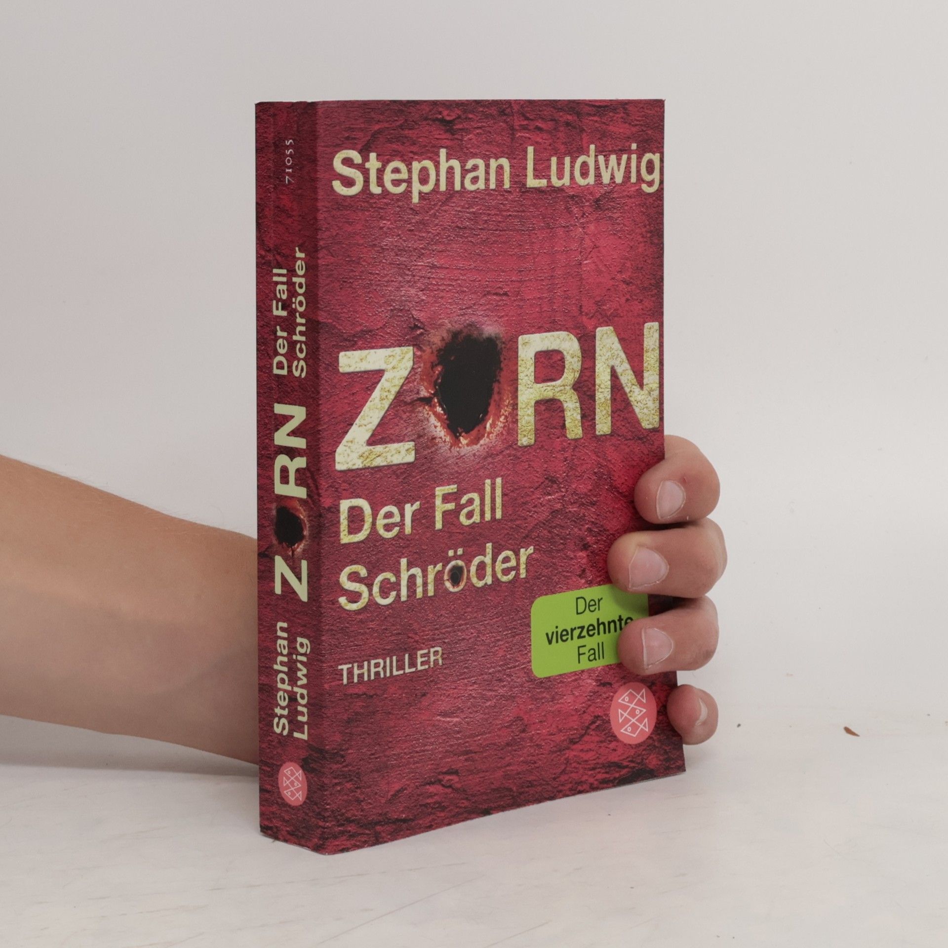 Stephan Ludwig Zorn - Der Fall Schröder / Hauptkommissar Claudius Zorn Bd.14