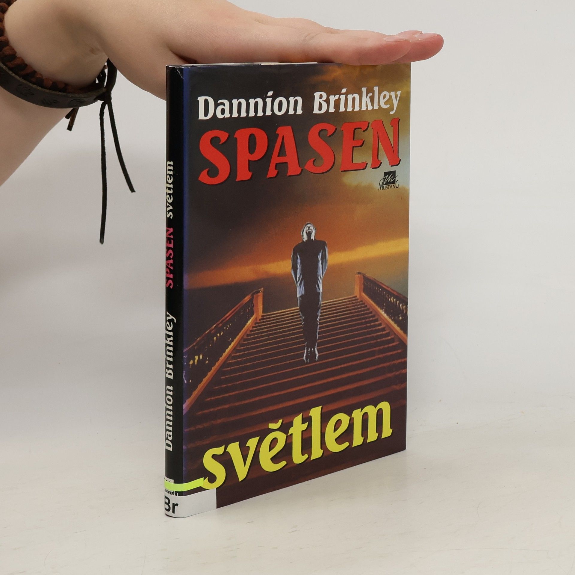 Dannion Brinkley Spasen světlem
