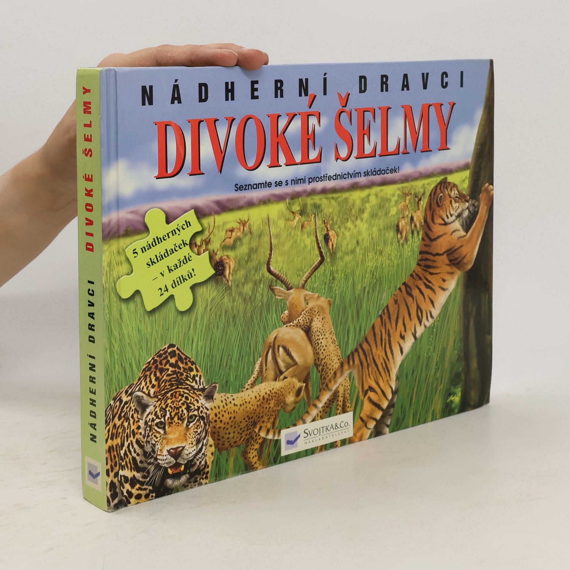 Autorenkollektiv Divoké šelmy