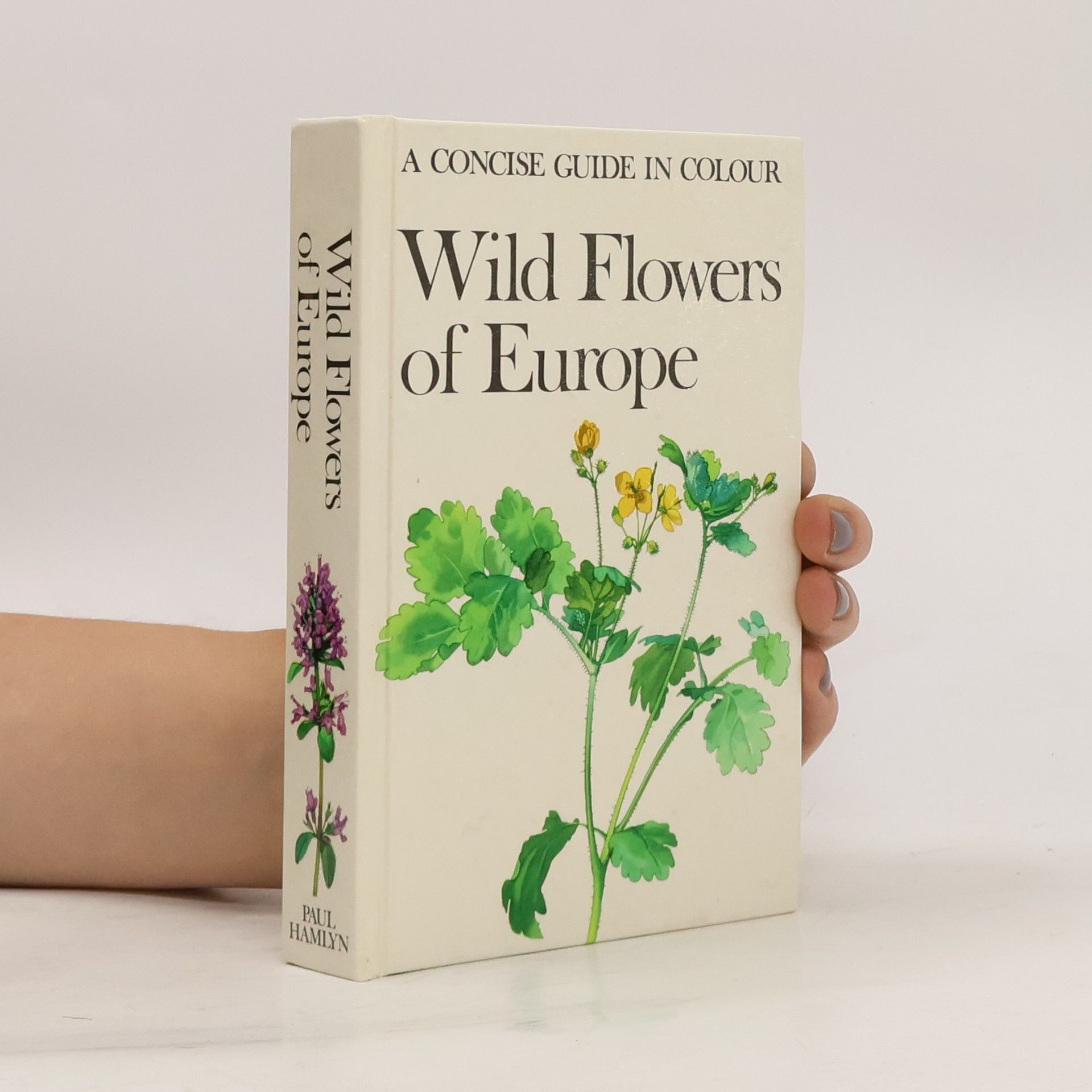 kolektiv Wild Flowers of Europe