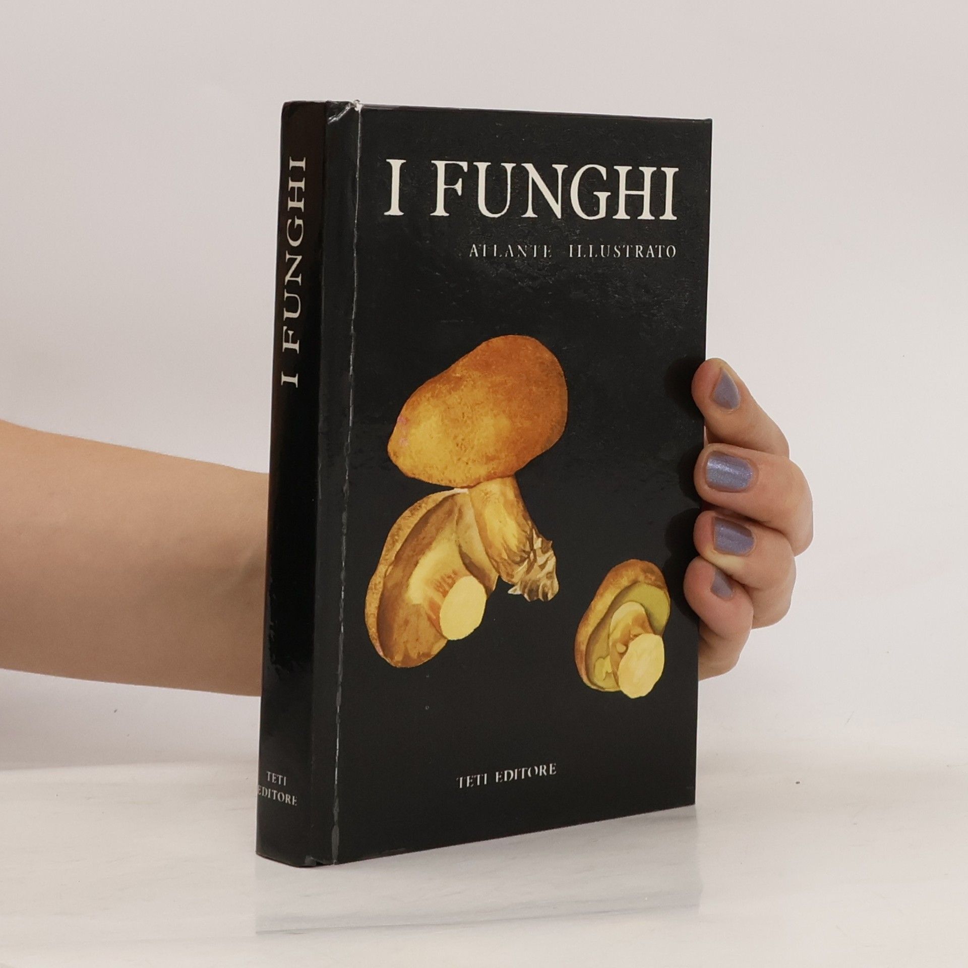 Autorenkollektiv i funghi