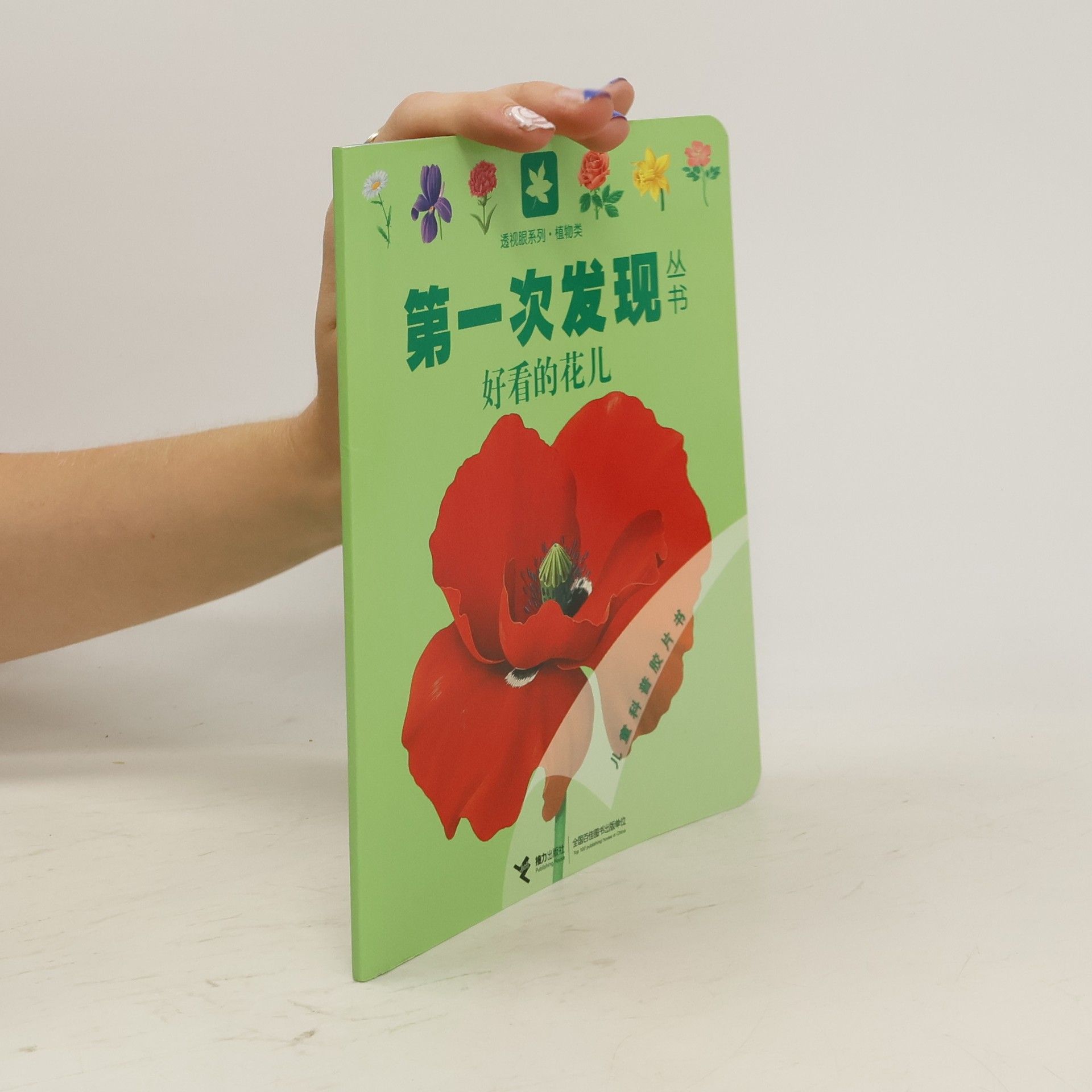 Collectif d'auteurs 好看的花儿