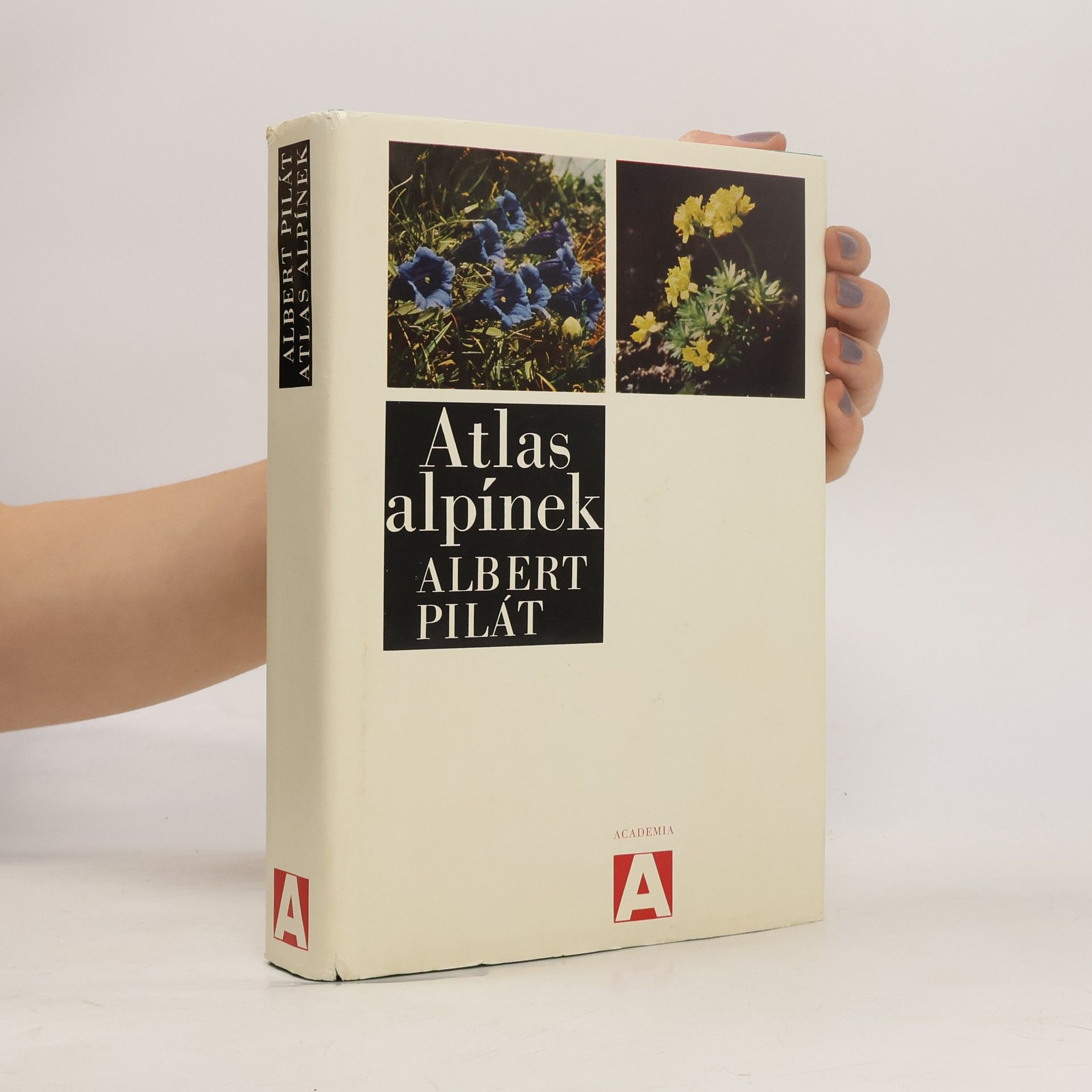Albert Pilát Atlas alpínek