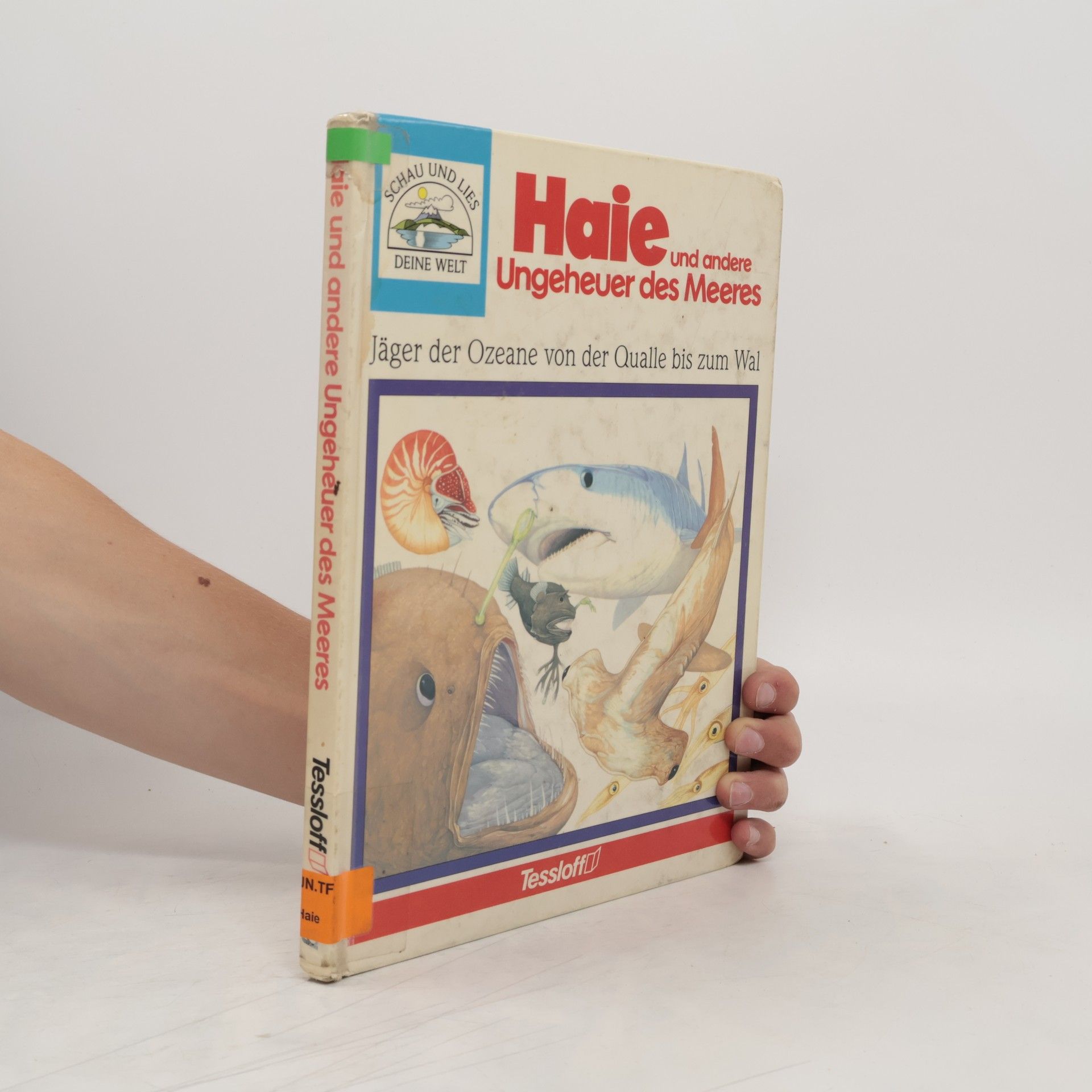 Steele Philip Earl Haie und andere Ungeheuer des Meeres