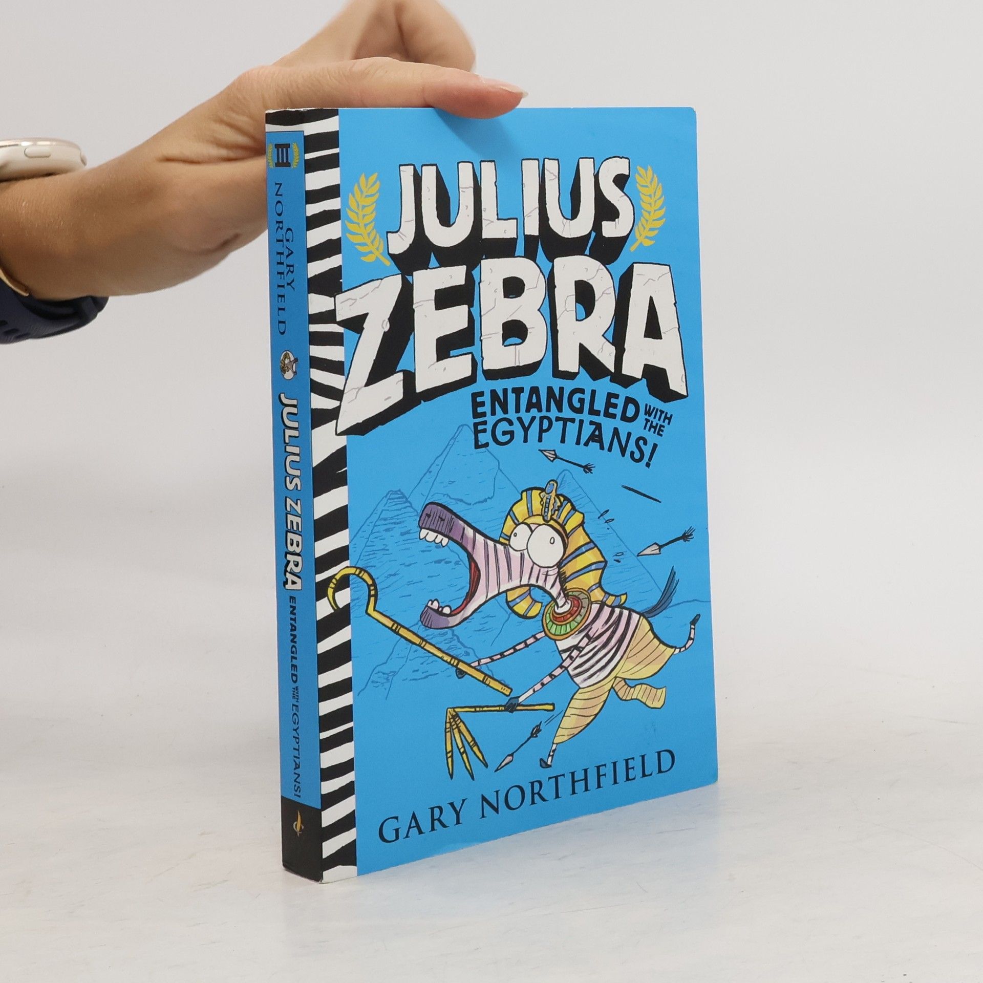 Northfield Gary Julius Zebra: Entangled with the Egyptians!