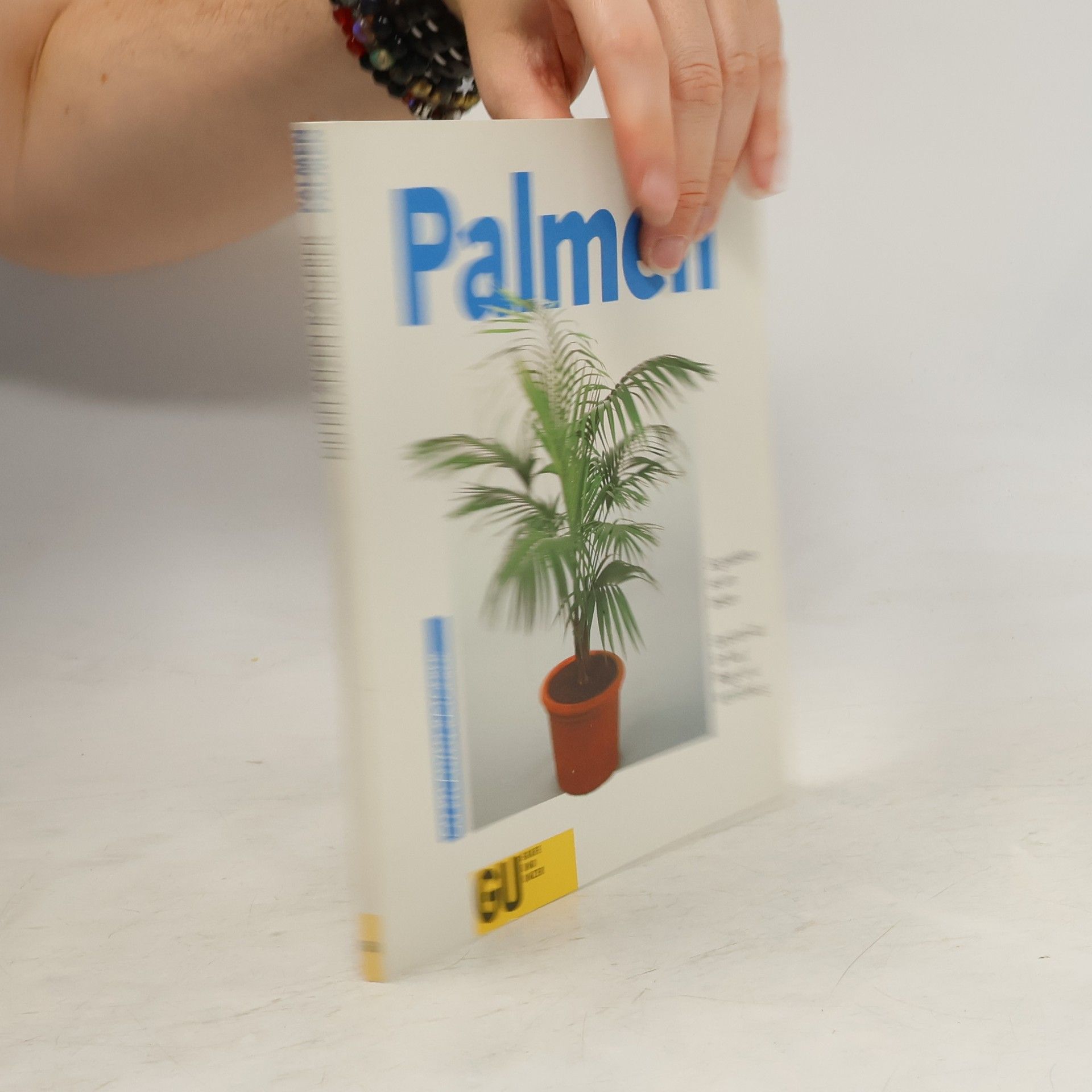 Halina Heitz Palmen