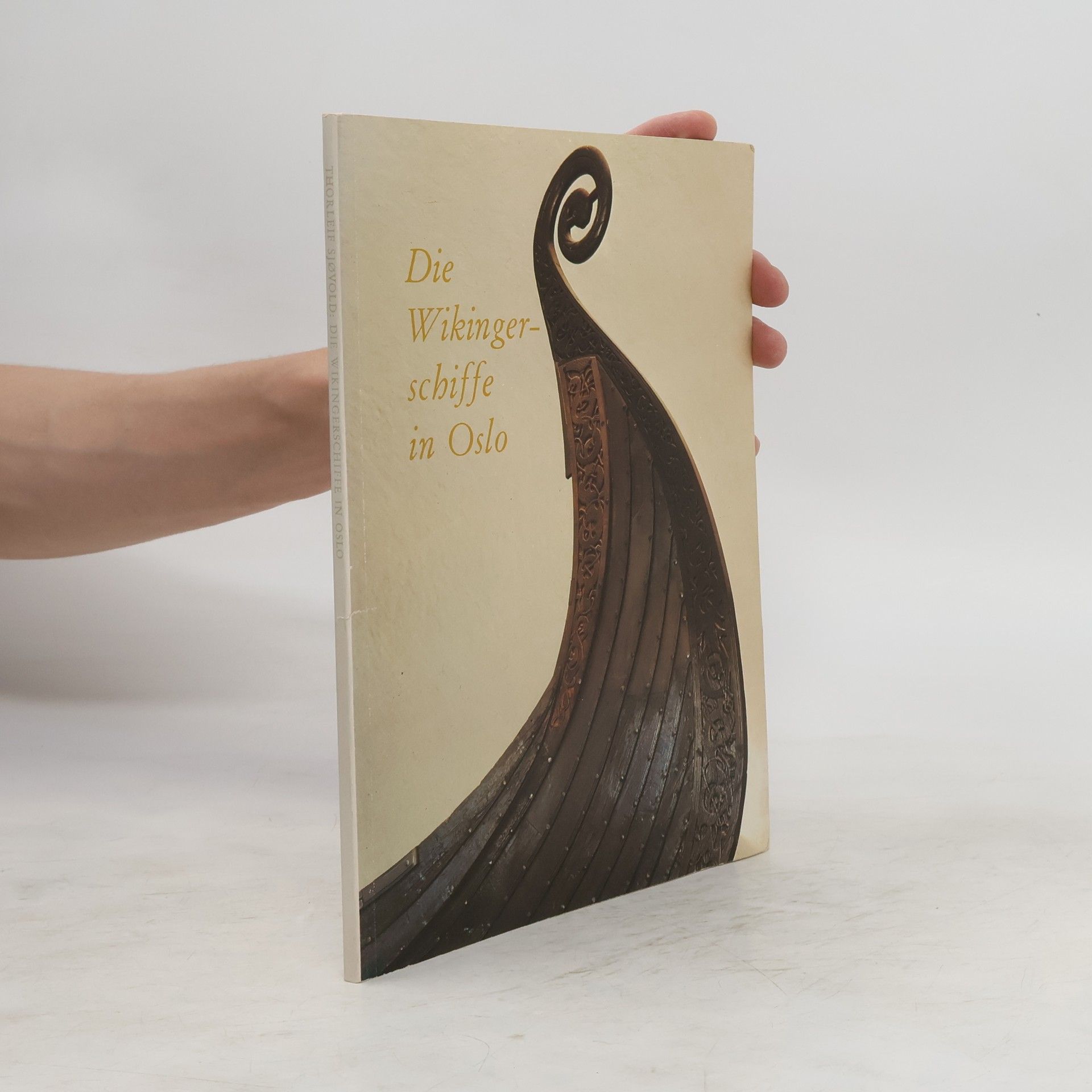 Die Wikinger schiffe in Oslo