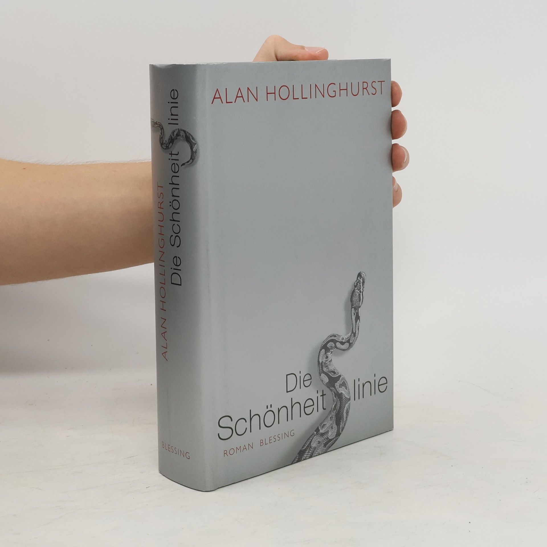 Allan Hollinghurst Die Schönheitslinie