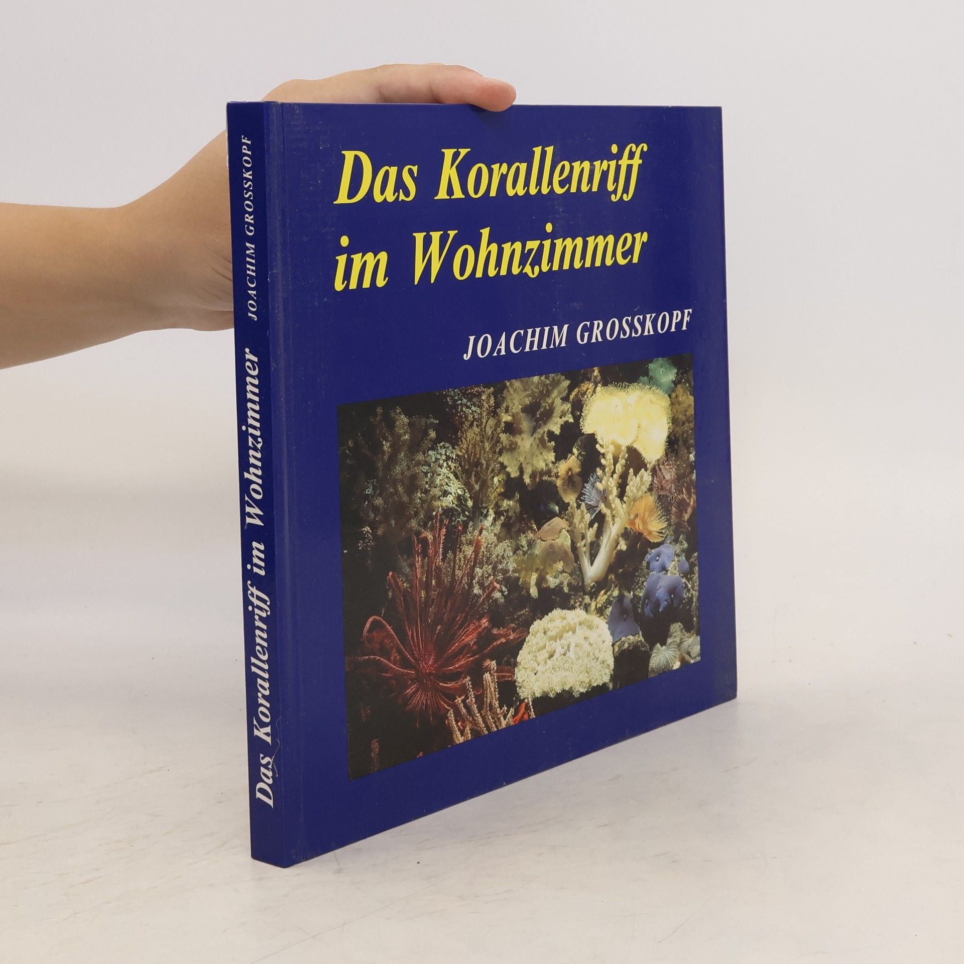 Joachim Grosskopf Das Korallenriff im Wohnzimmer