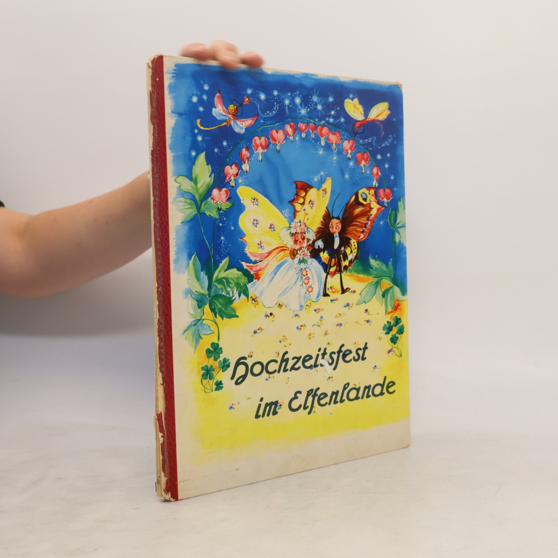 Sonja Passera Hochzeitsfest im Elfenlande