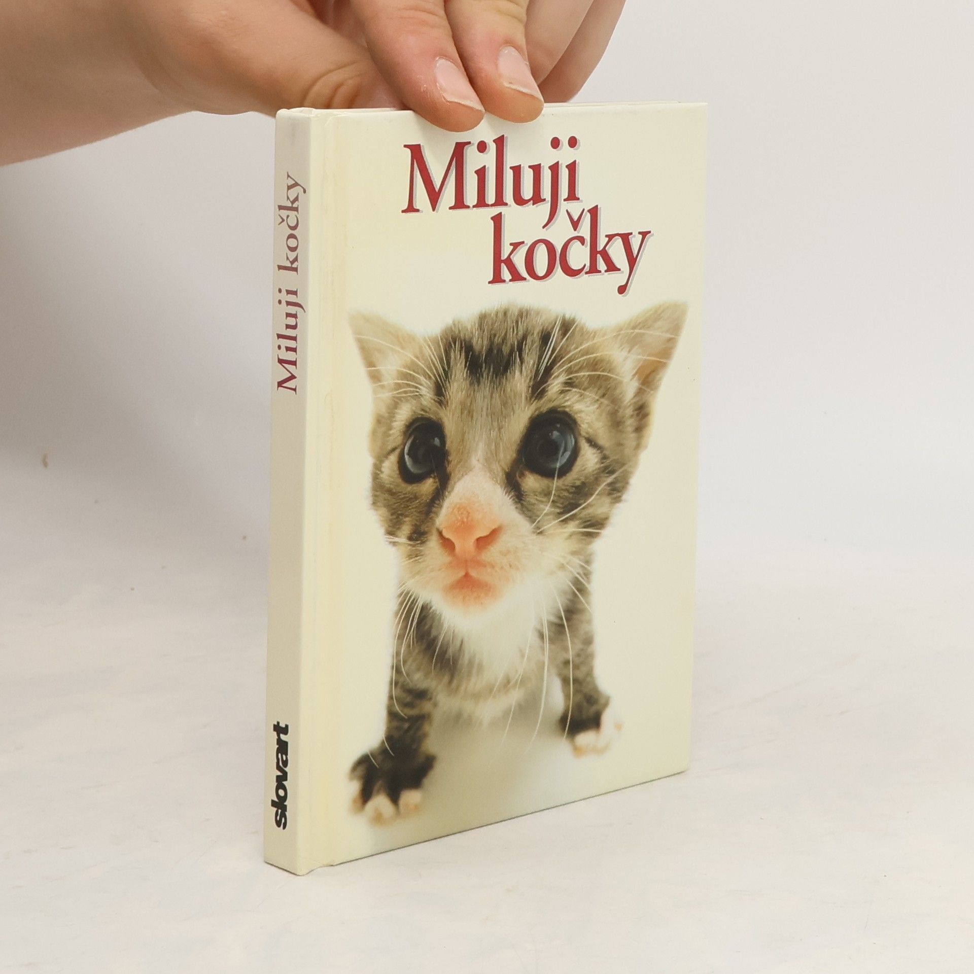 Yoneo Morita Miluji kočky