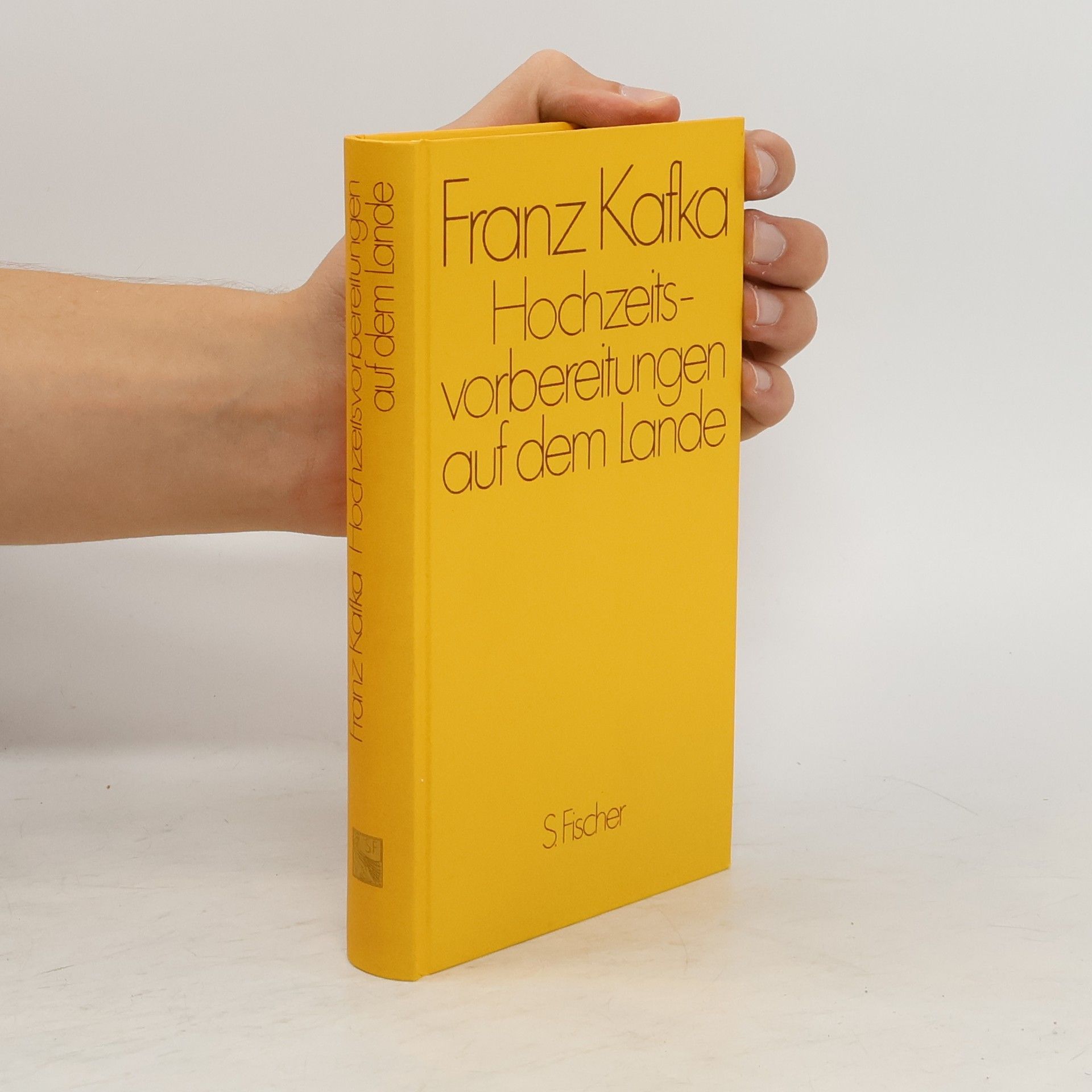 Franz Kafka Hochzeitsvorbereitungen auf dem Lande