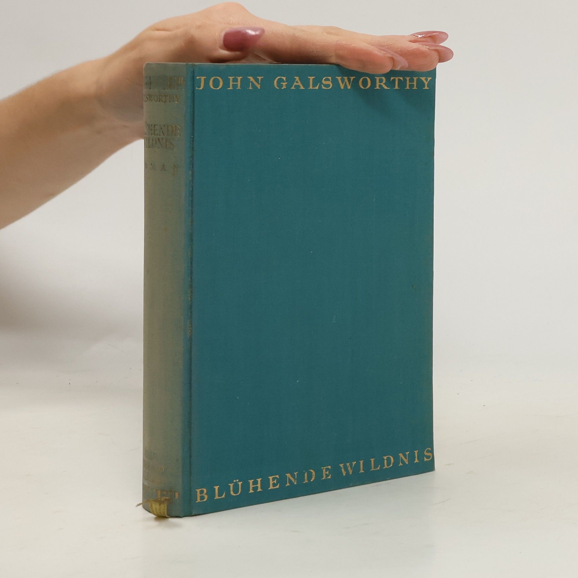 John Galsworthy Blühende Wildnis