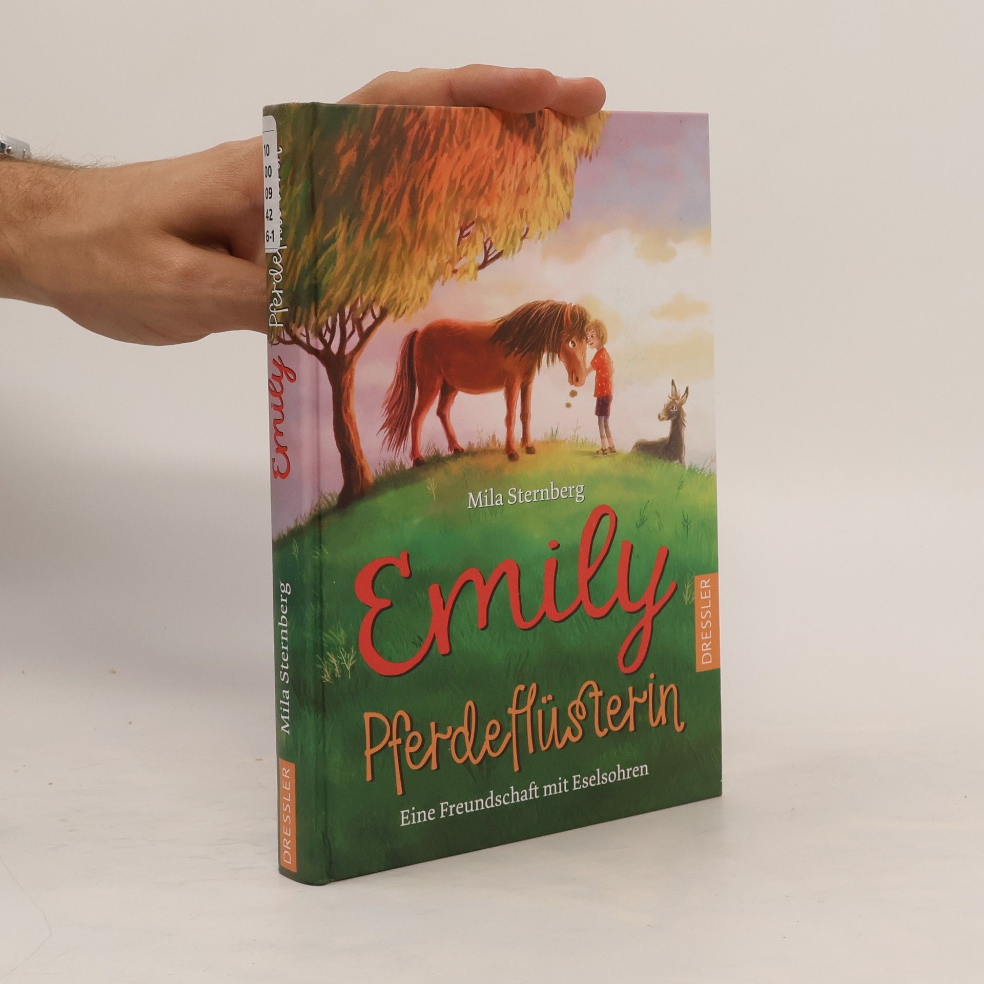 Mila Sternberg Emily Pferdeflüsterin