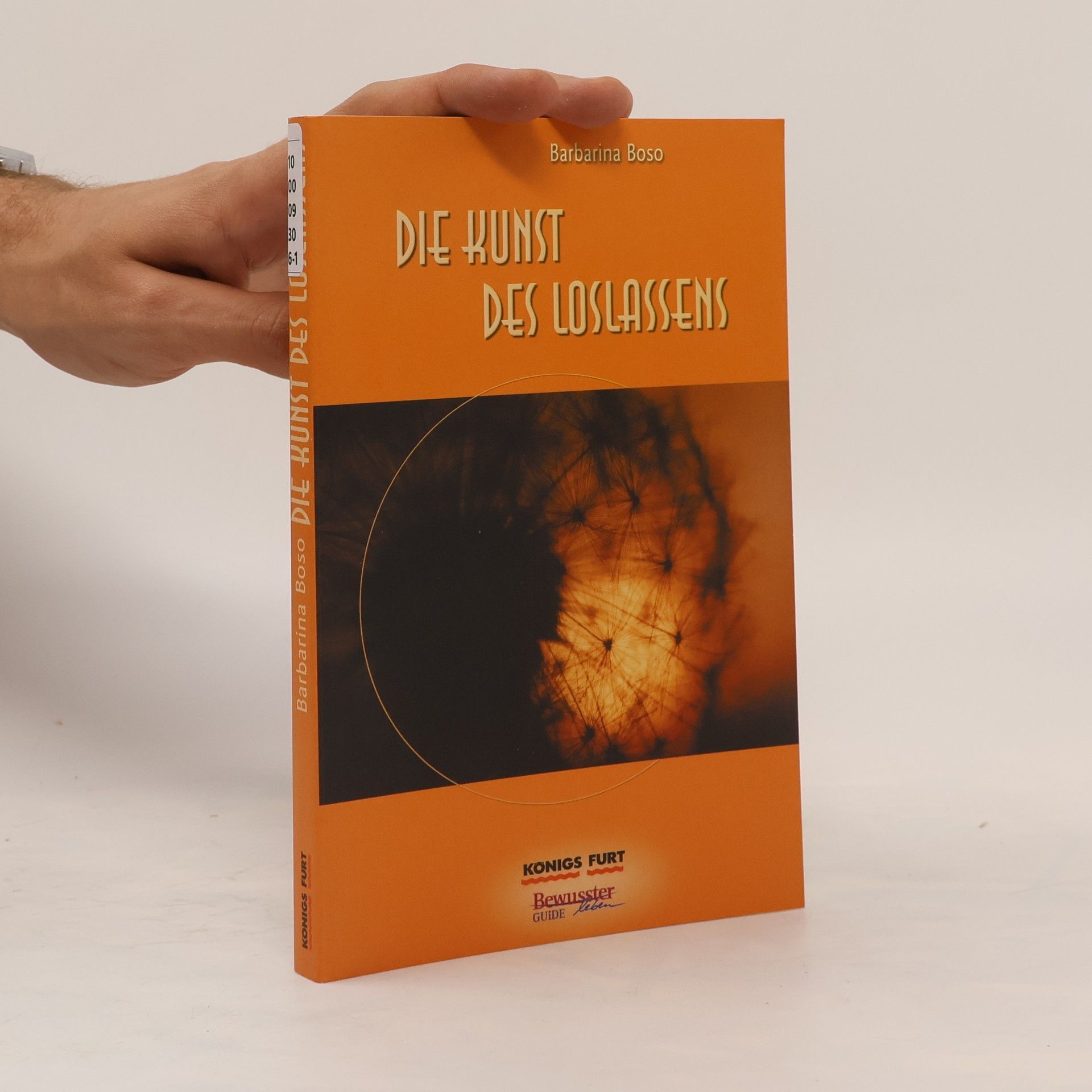 Barbarina Boso Die Kunst des Loslassens