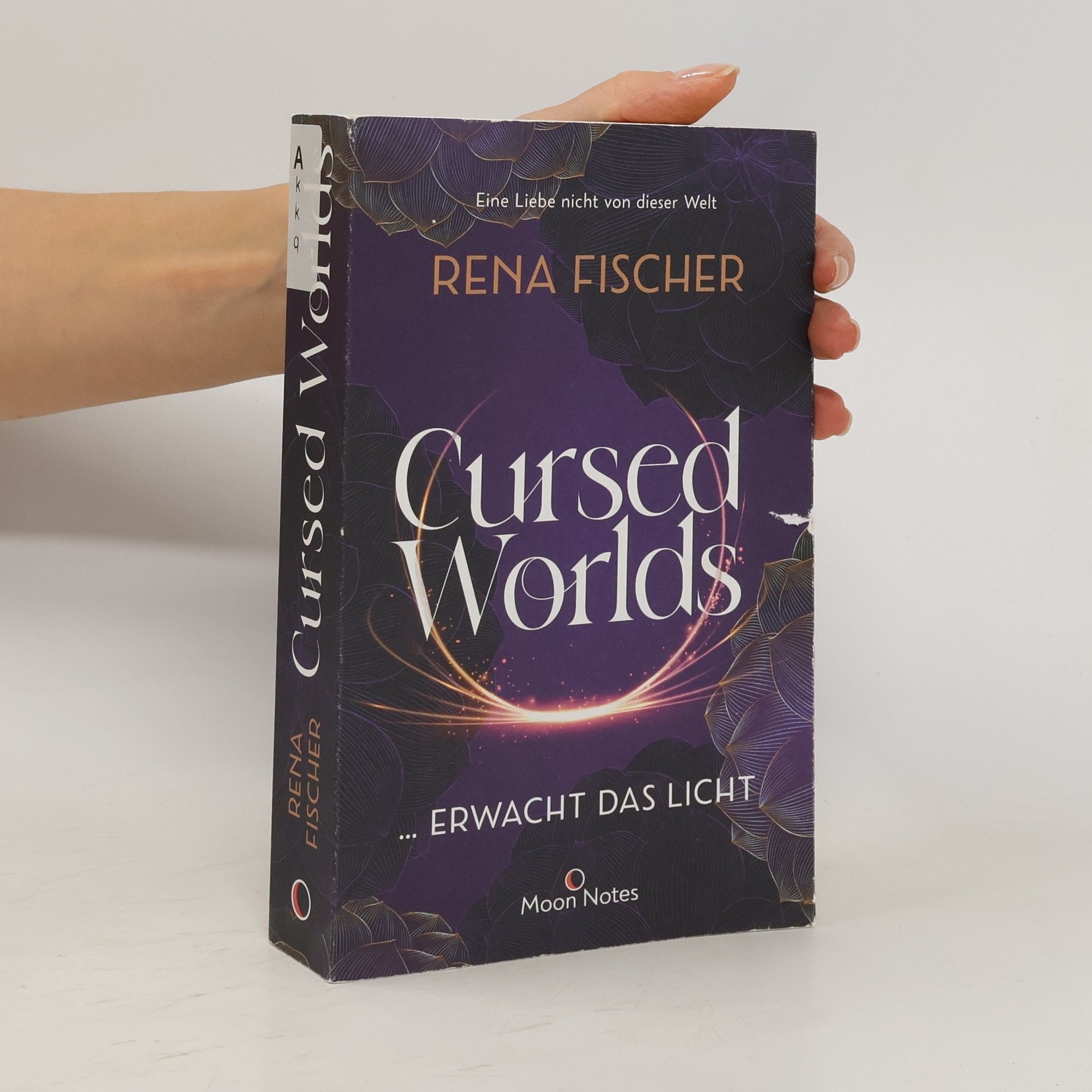 Rena Fischer Cursed Worlds 2 ... erwacht das Licht